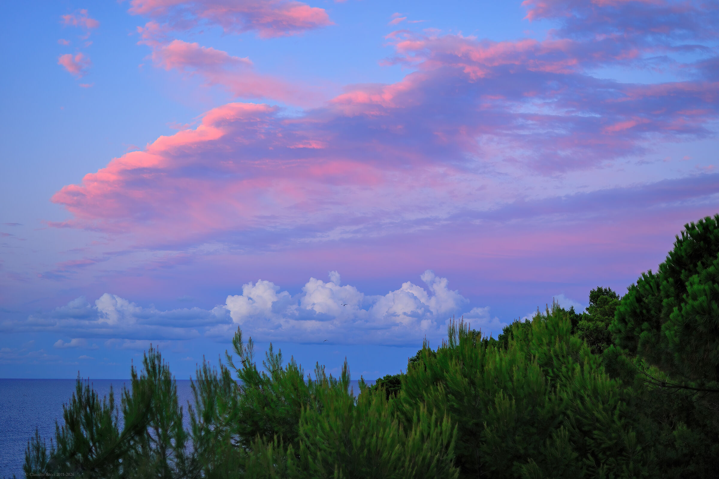 Memories of the Gargano