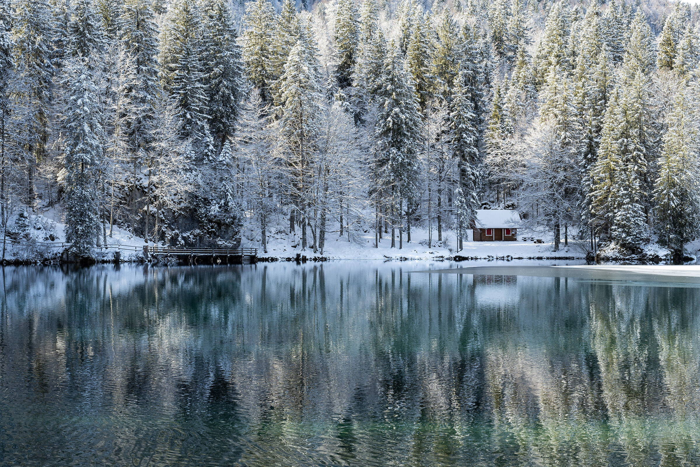 Fresche e smeraldine