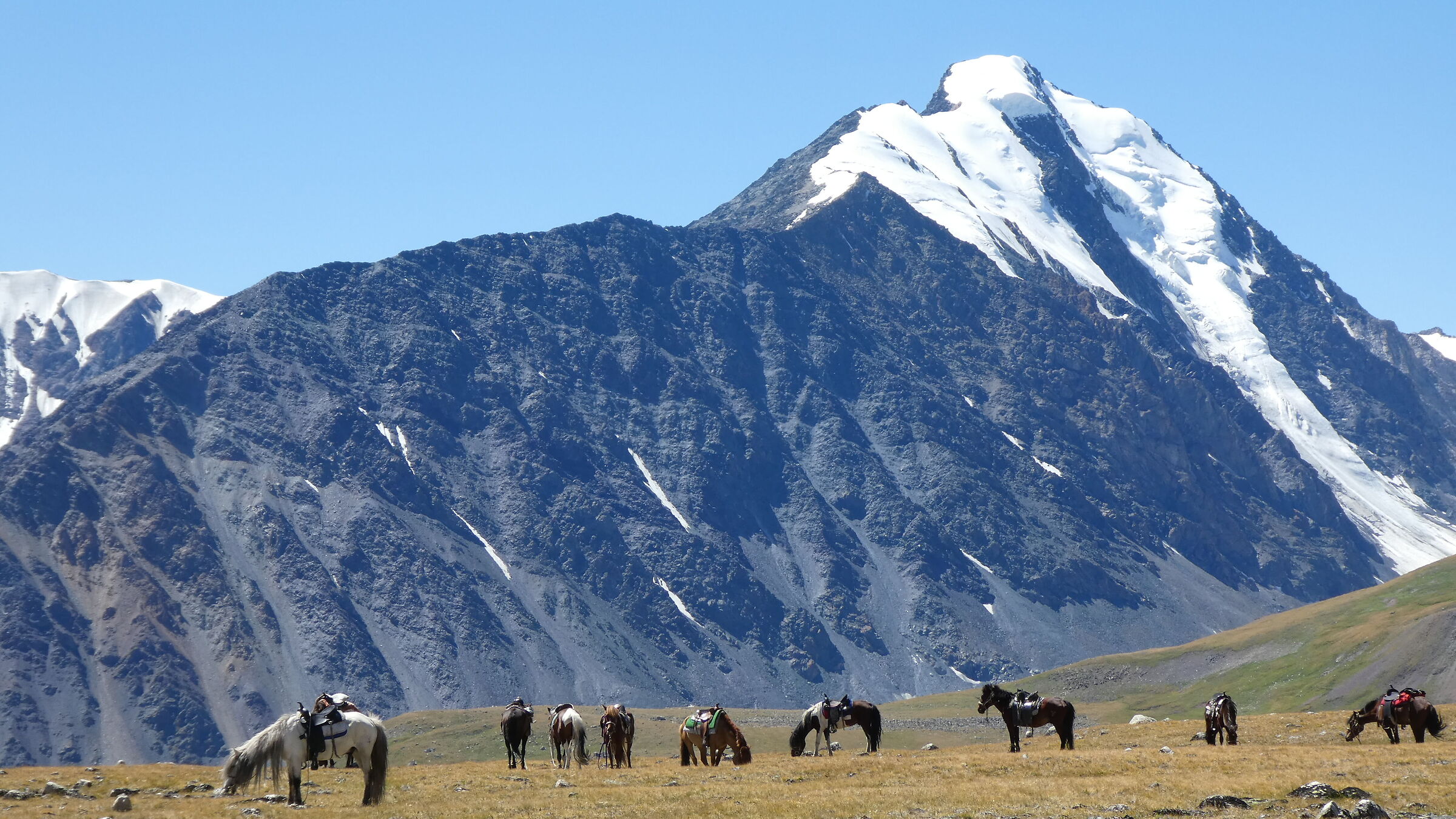 Mongolia, Altai