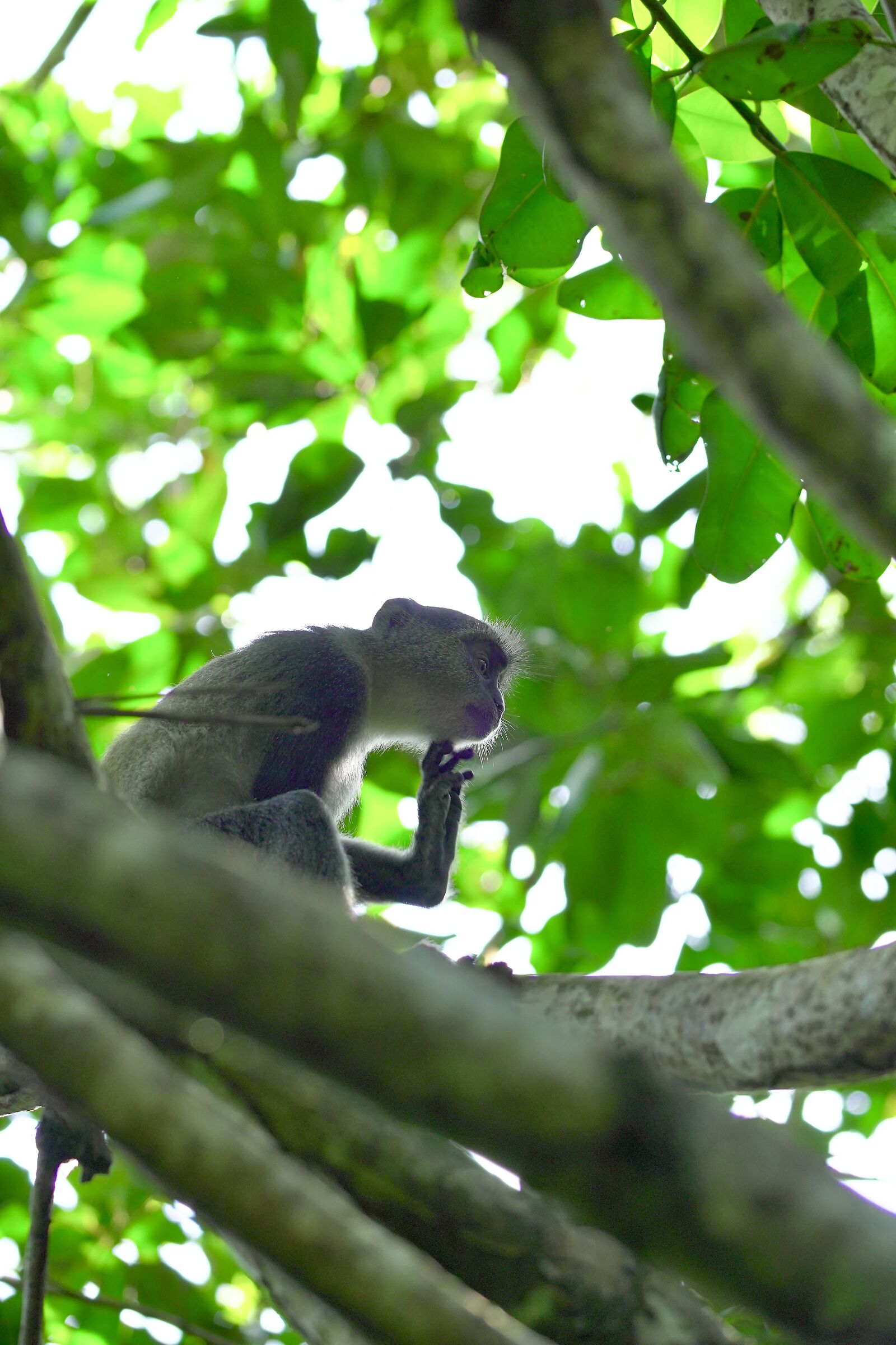 I'm thinking about it