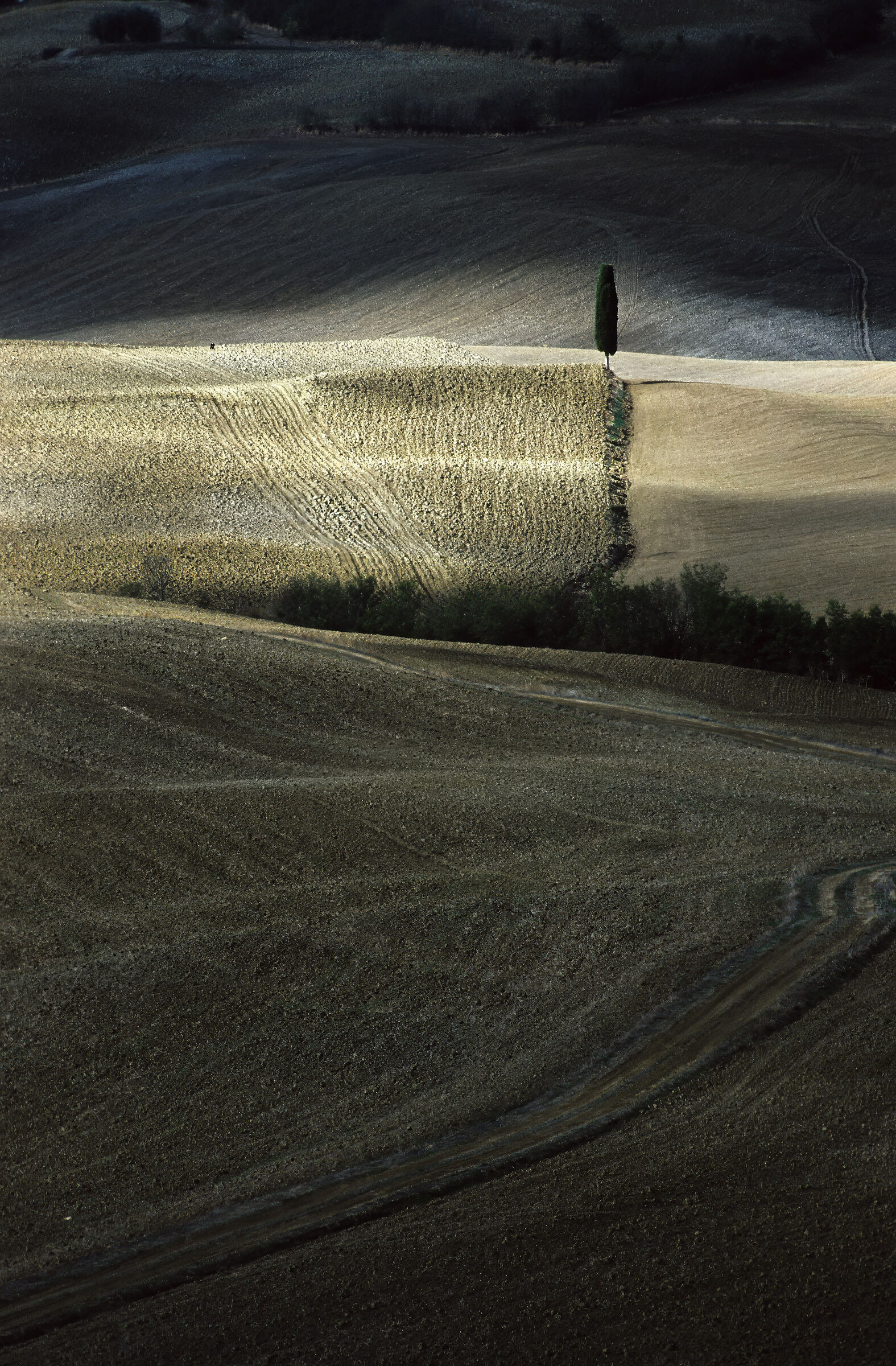 Solitaire