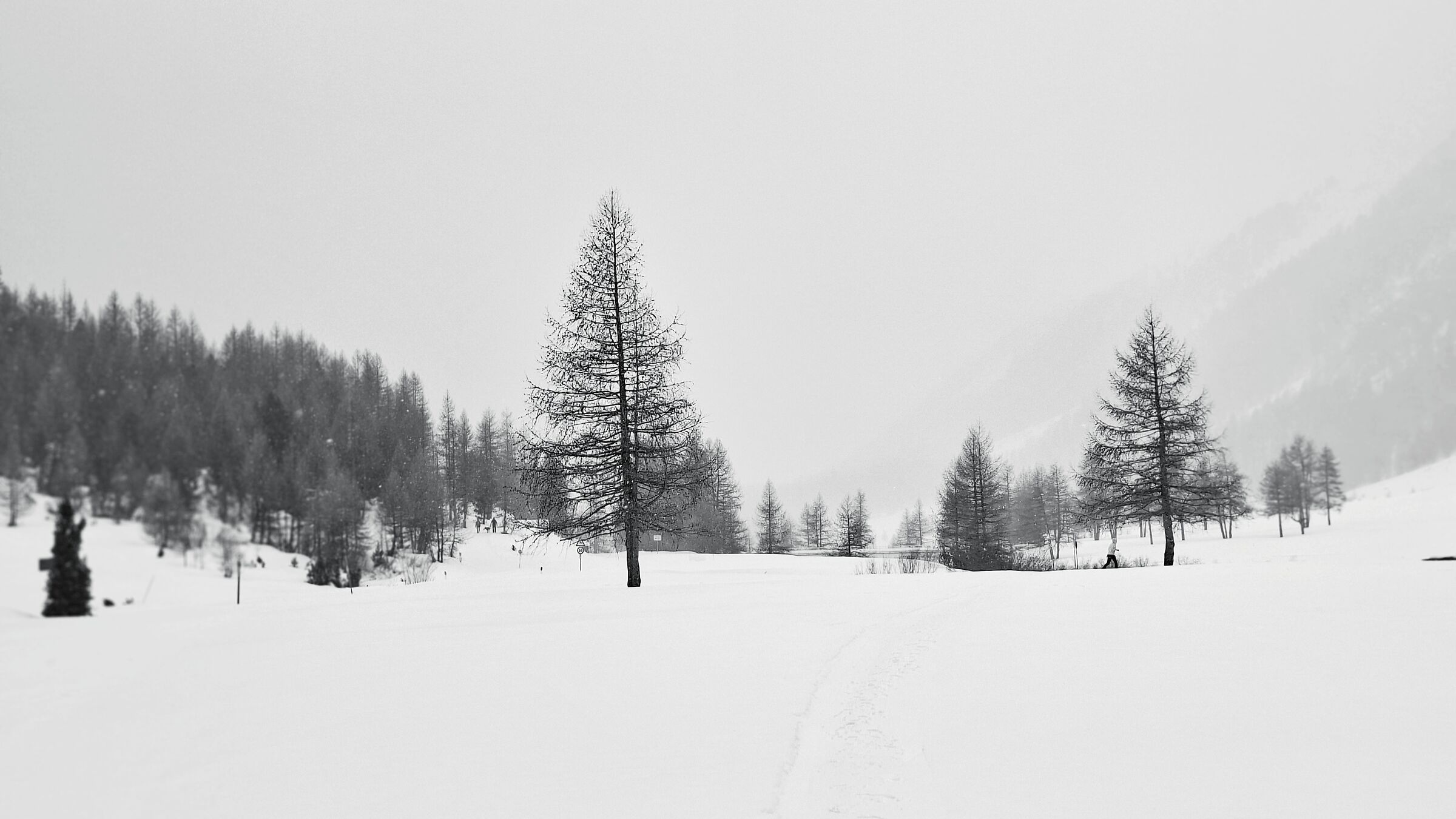Forcola di Livigno