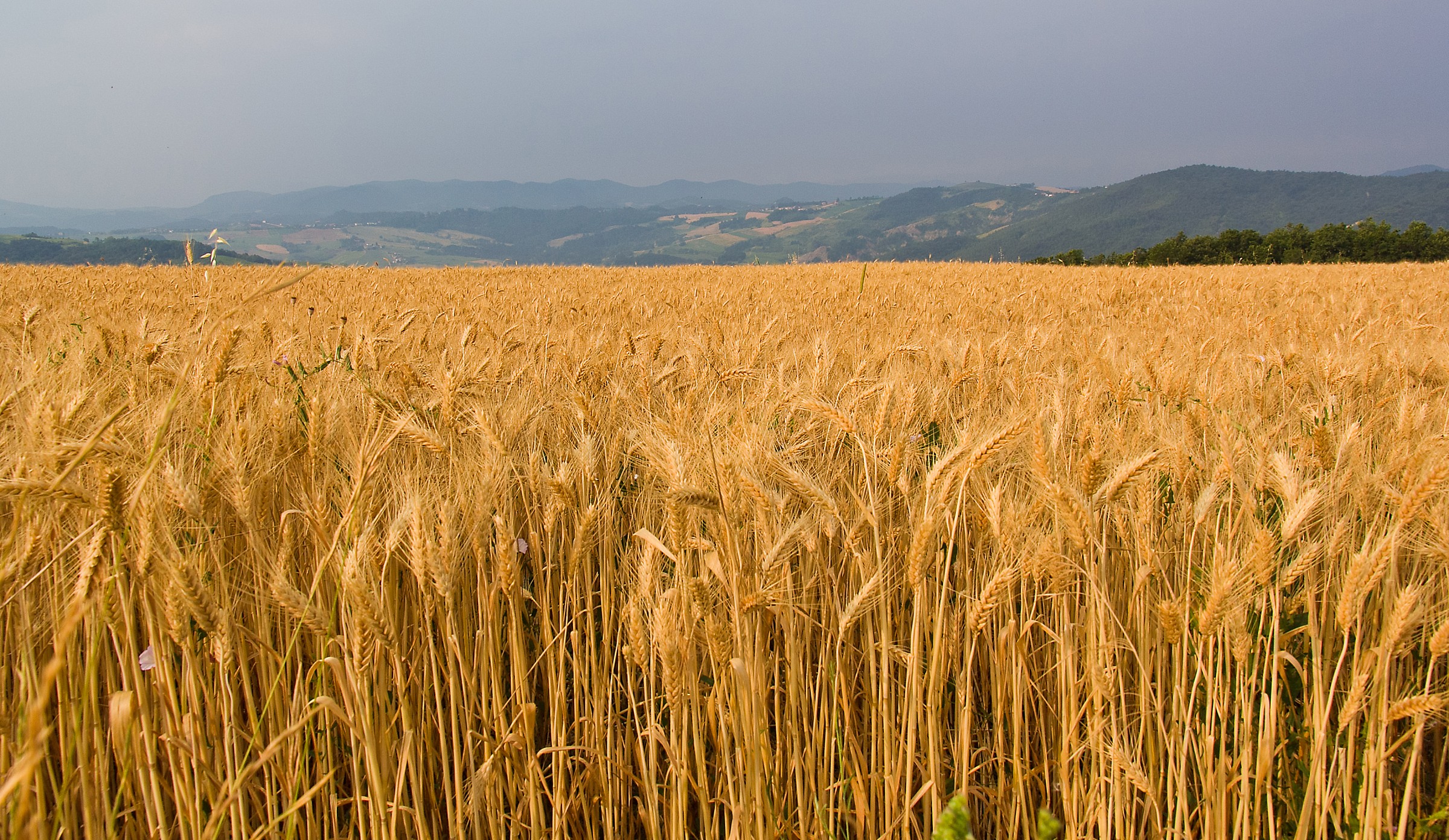 la quiete prima della tempesta