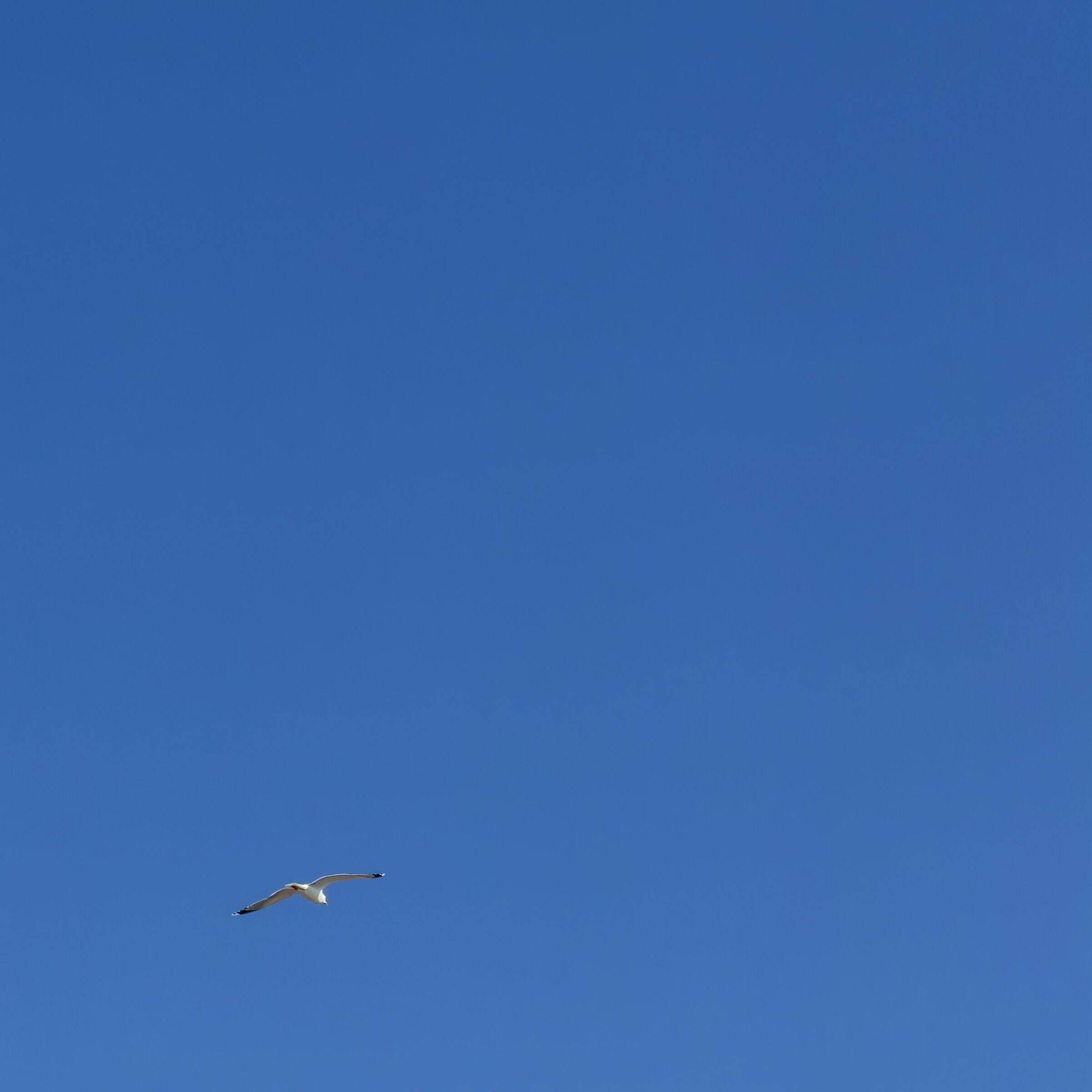 volo di ricognizione