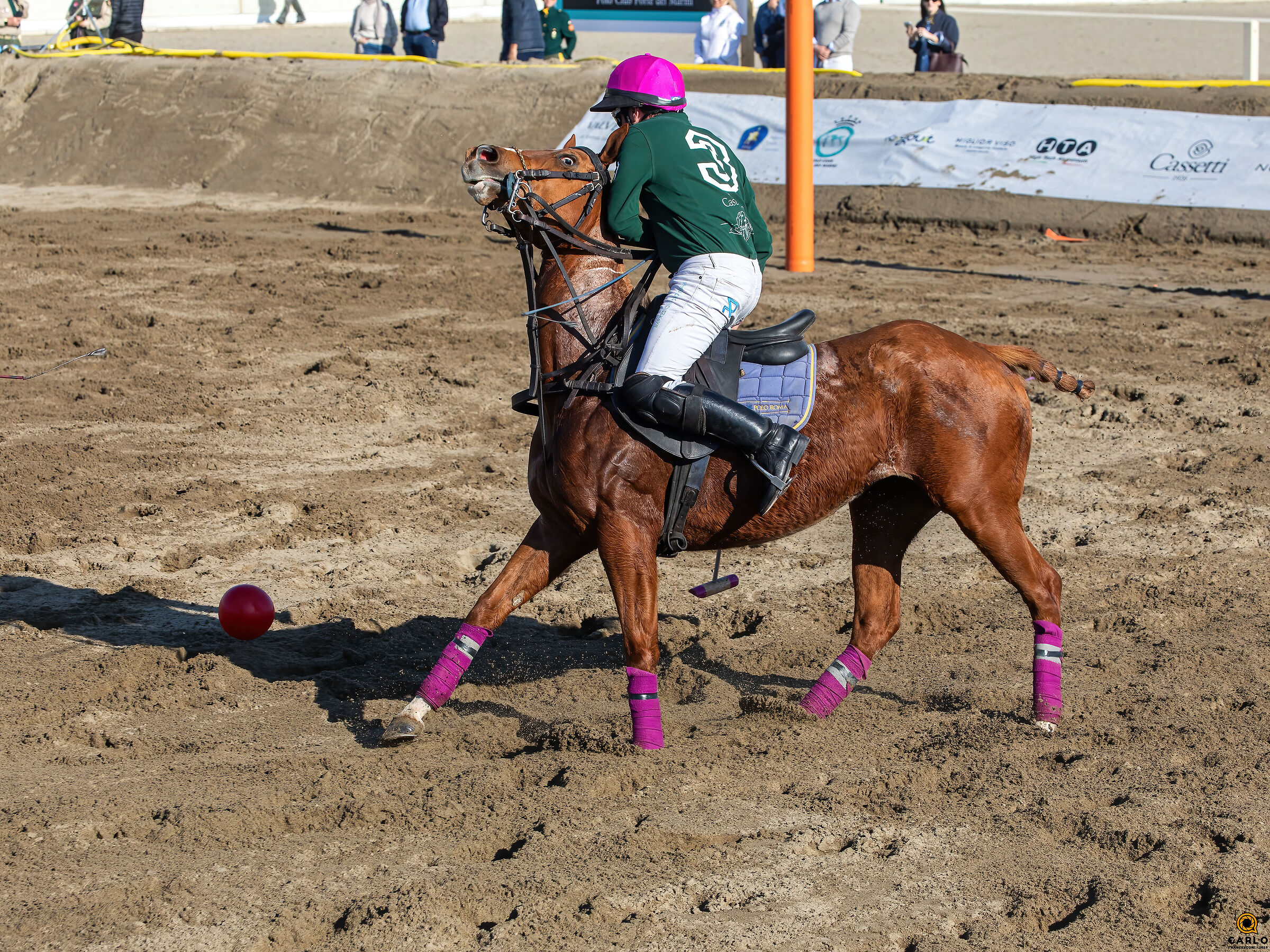Forte Dei marmi Polo