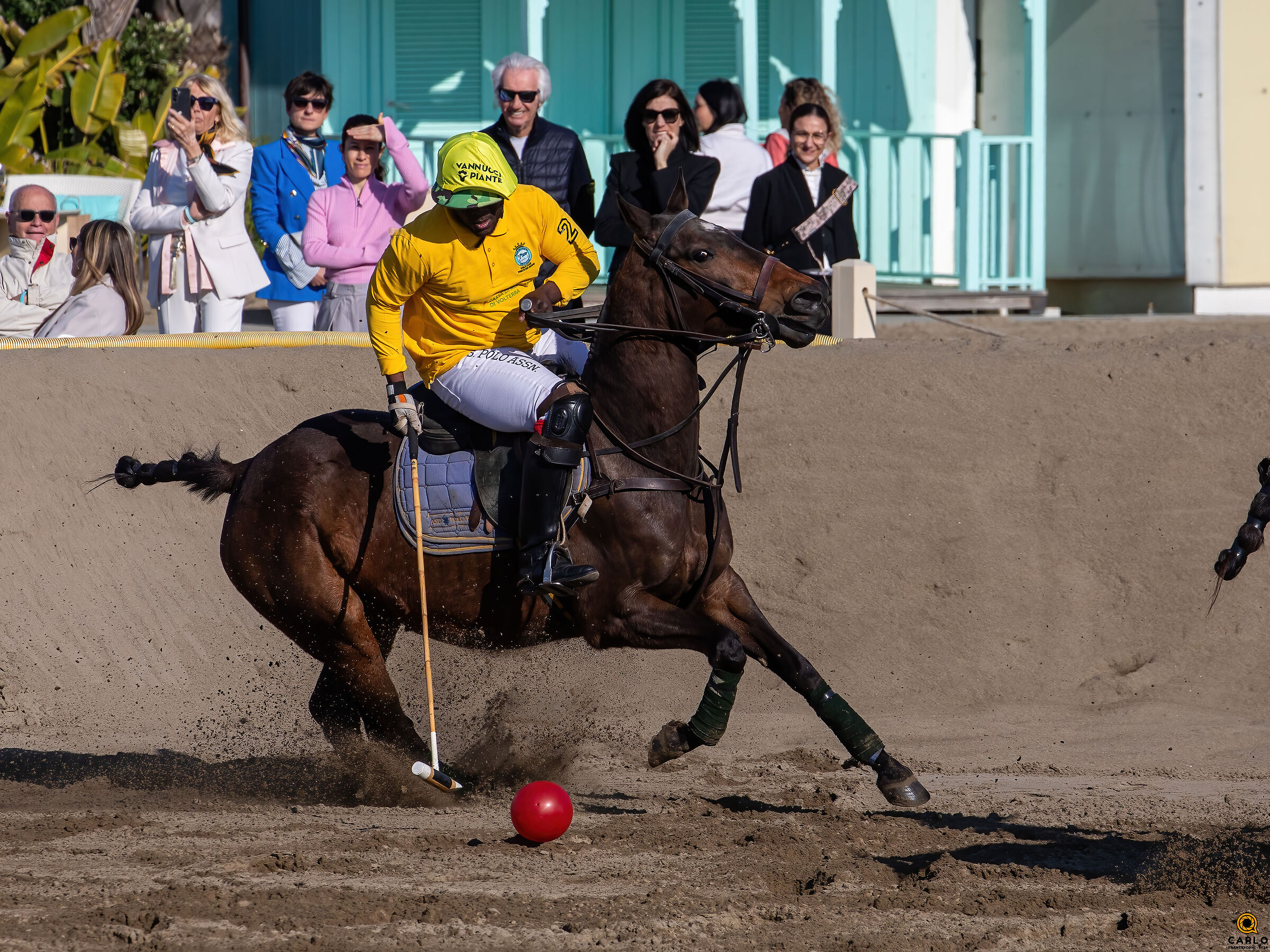 Forte Dei marmi Polo