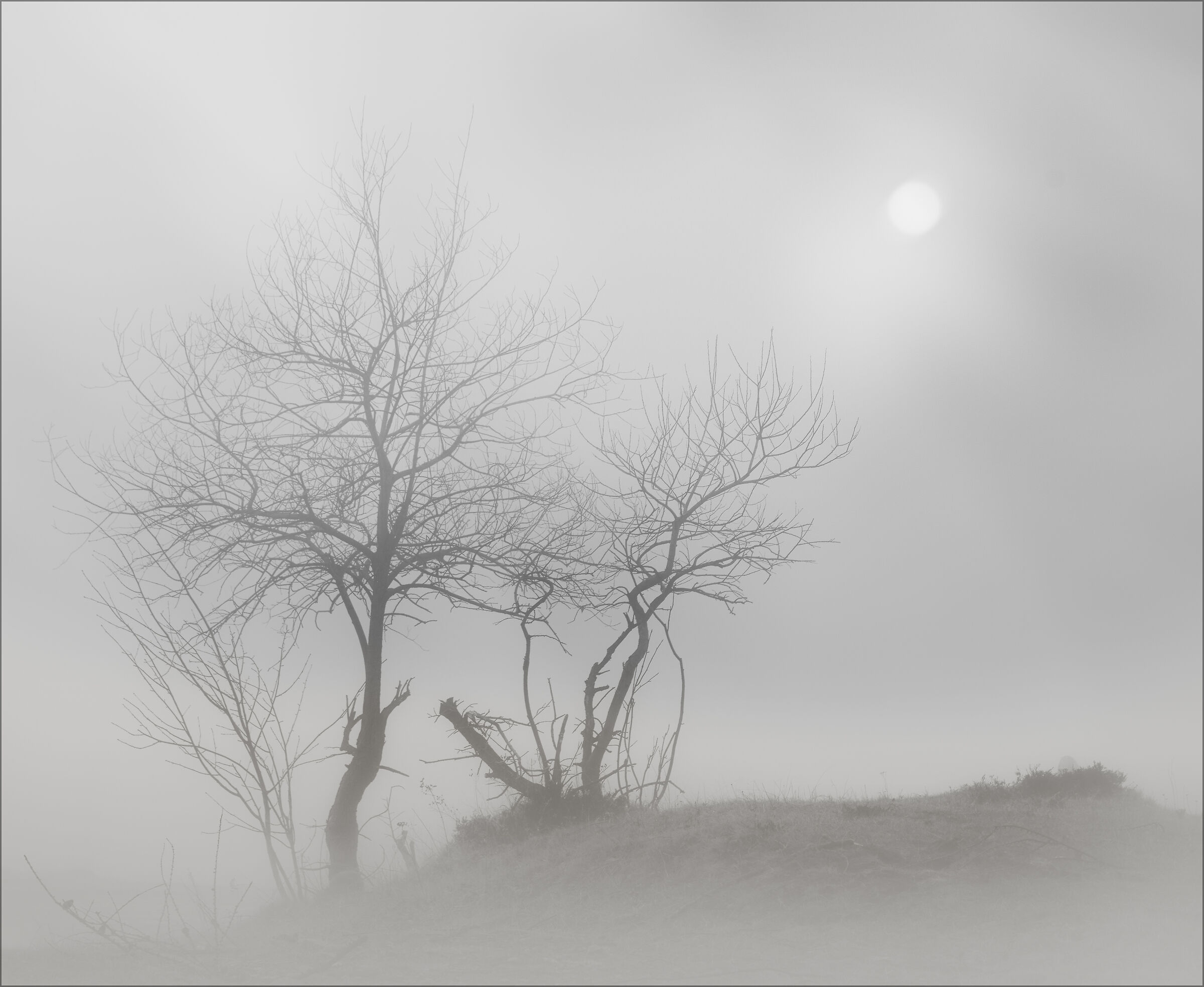 Winter epilogue