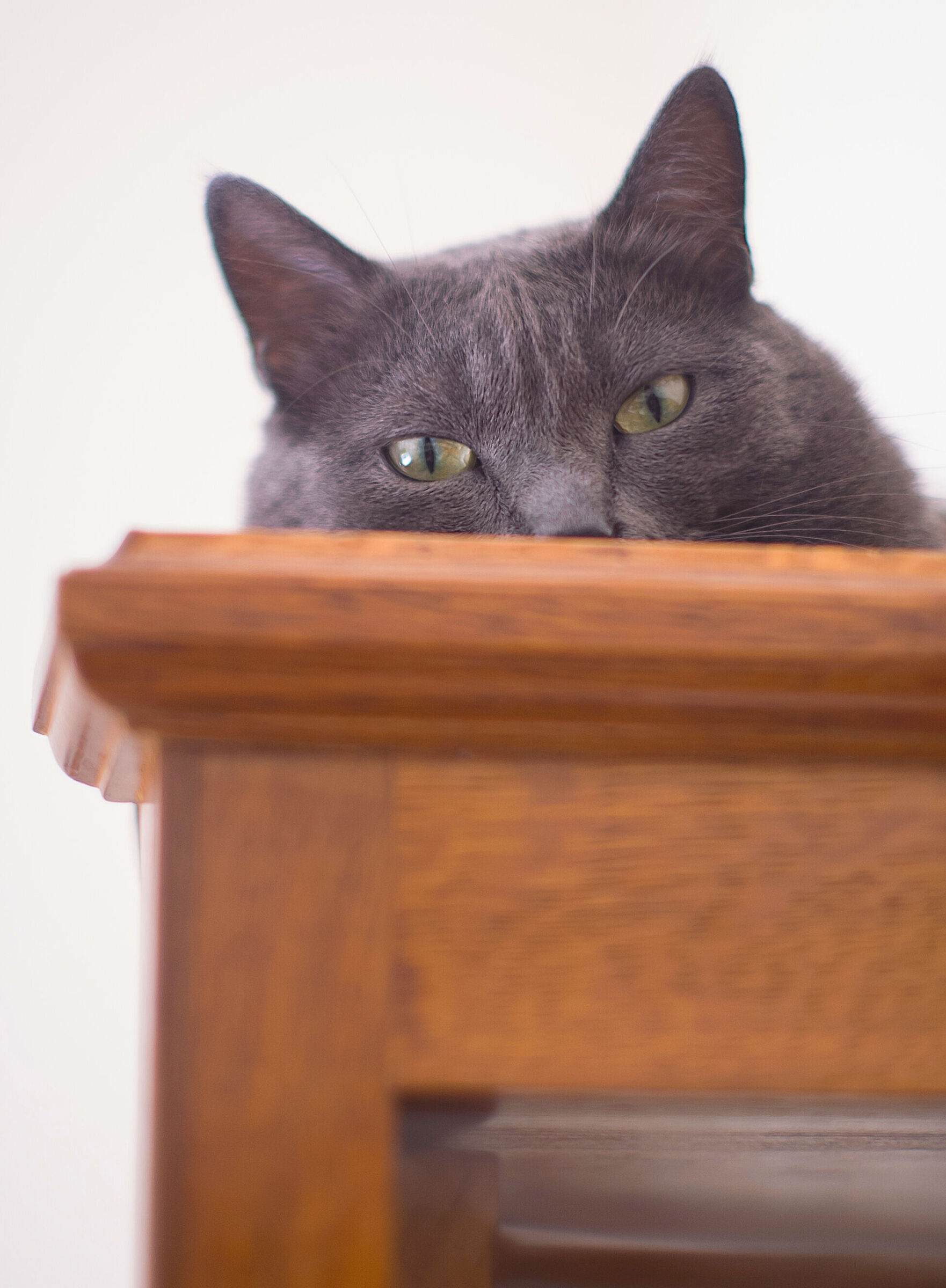 The little lookout