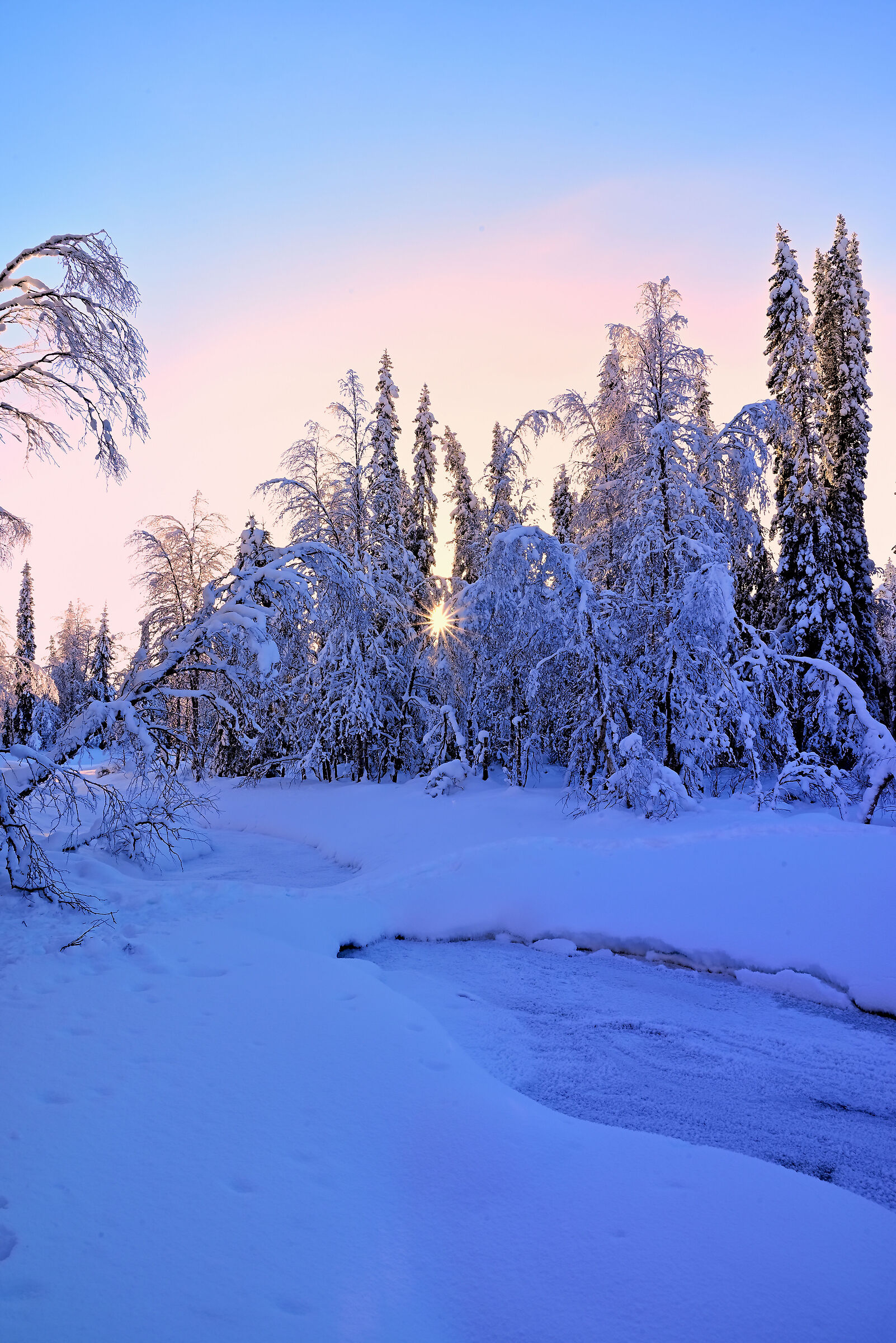 Saivonkierros - raggio di sole 2