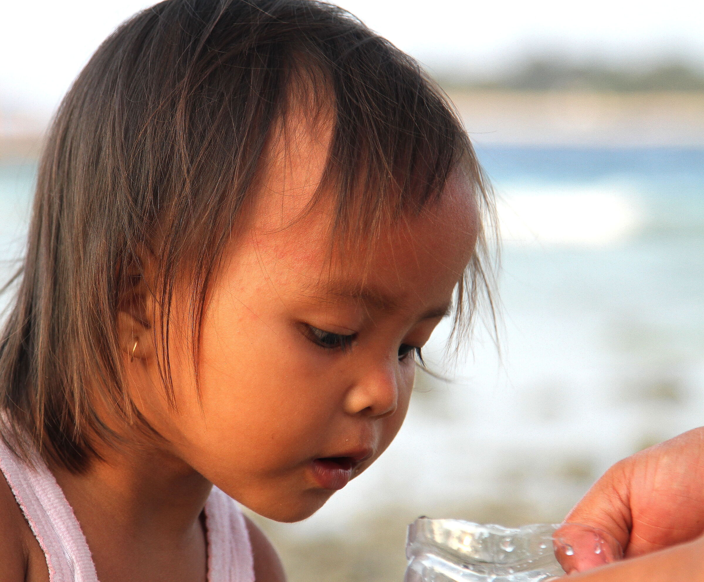 per frutti di mare , Gili