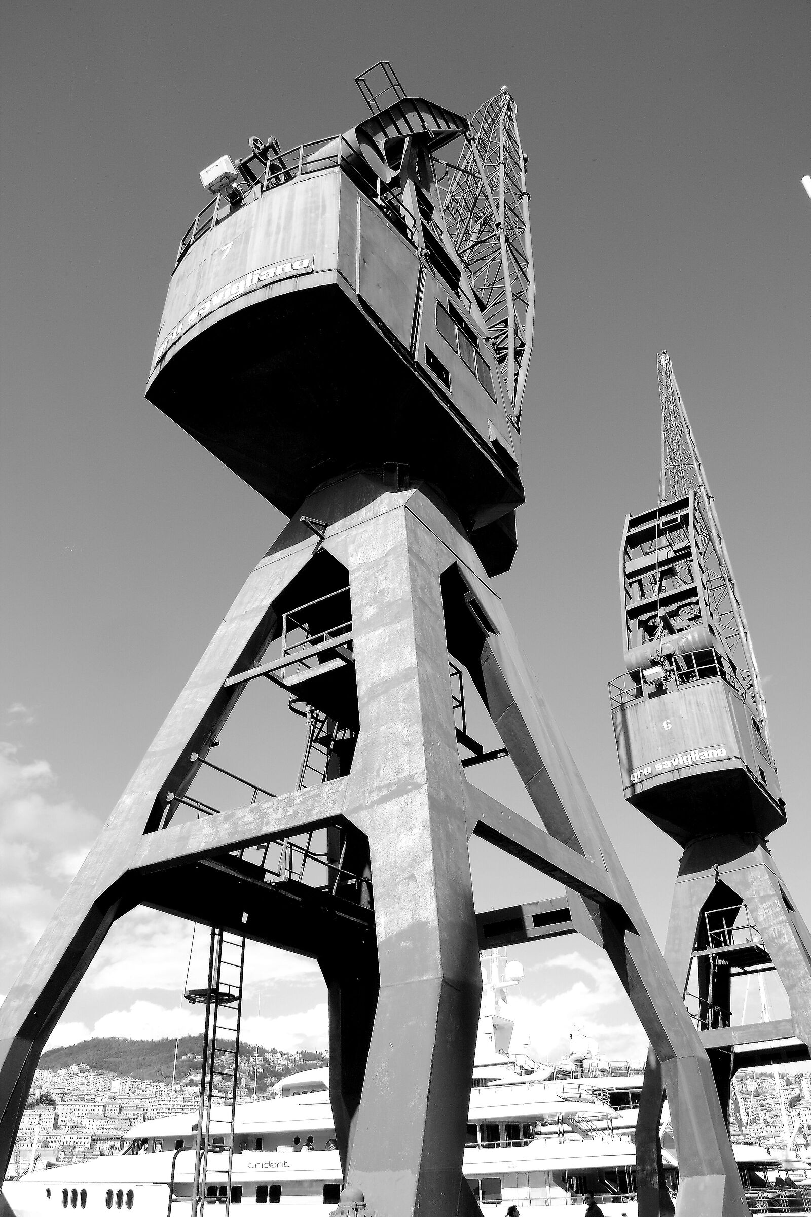 Le gru del Porto Antico di Genova.