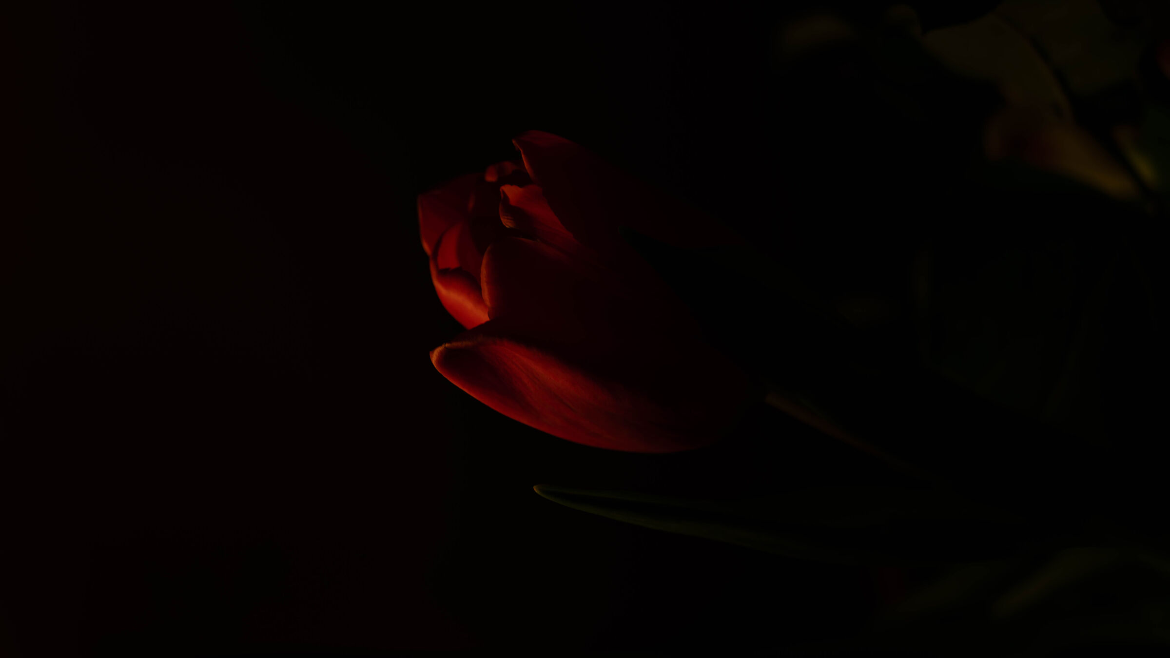 dark red