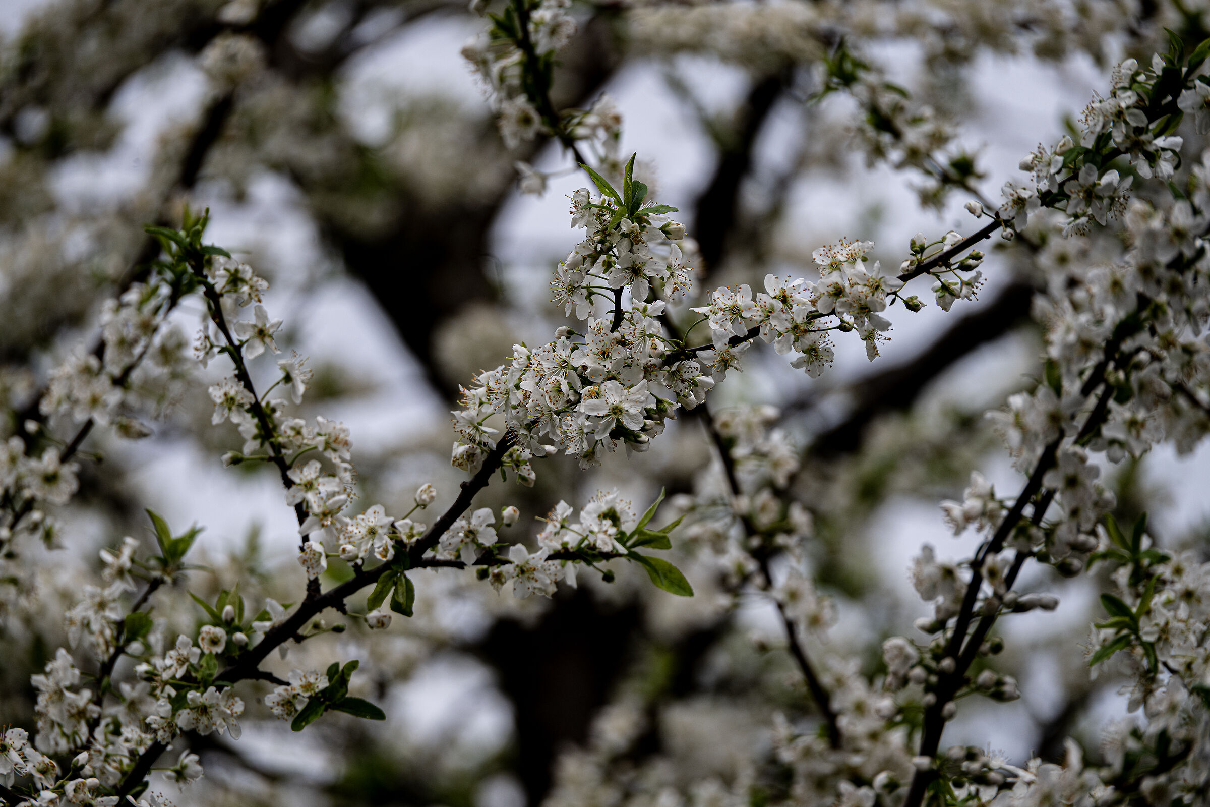 Untitled Photo