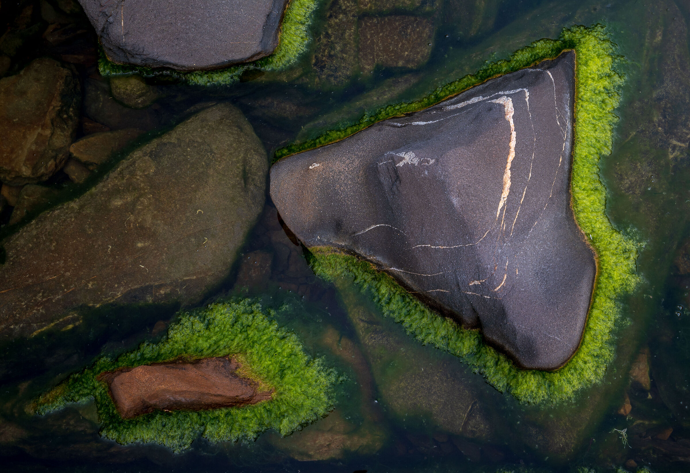 Costa degli Etruschi