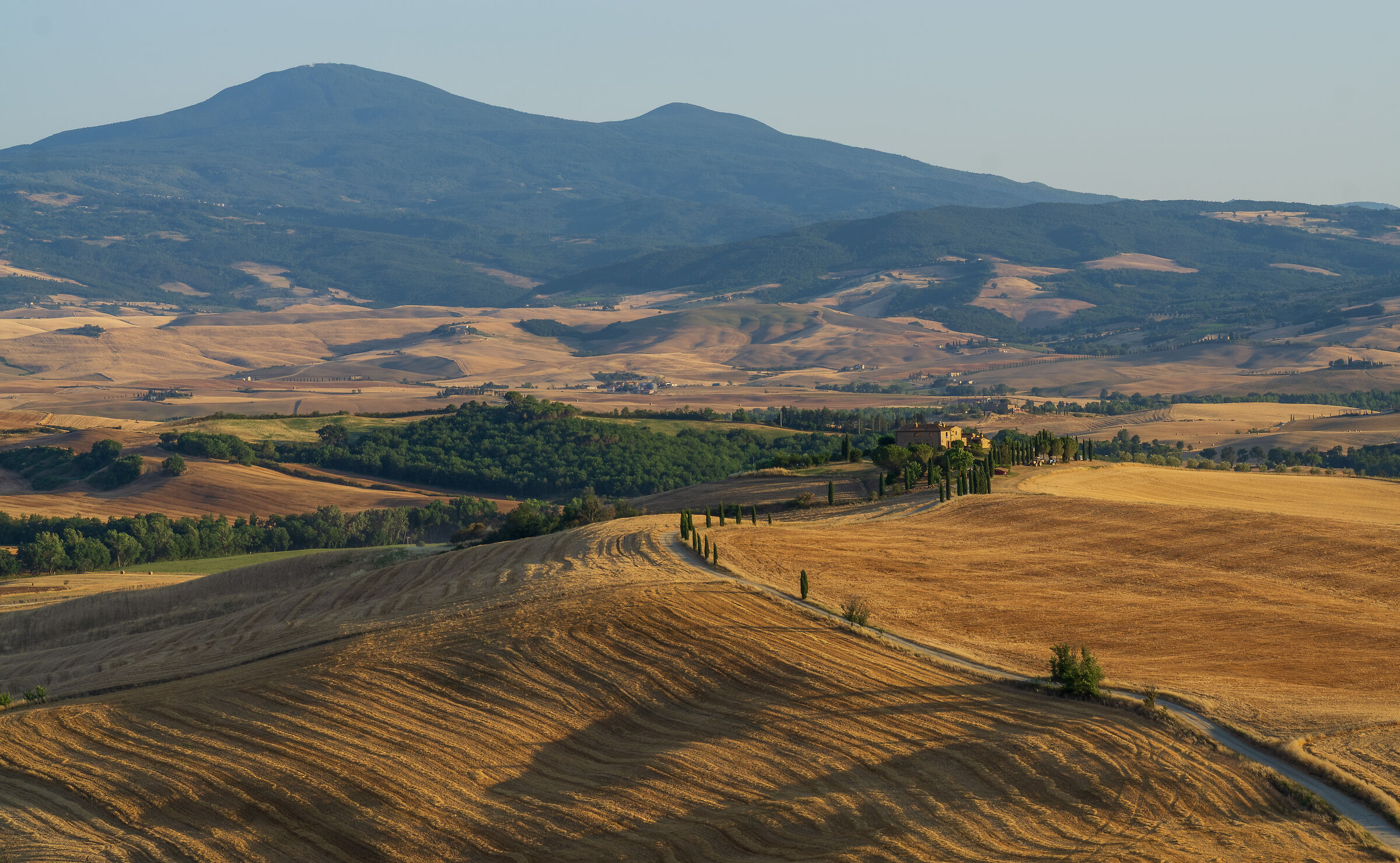 Campi Elisi