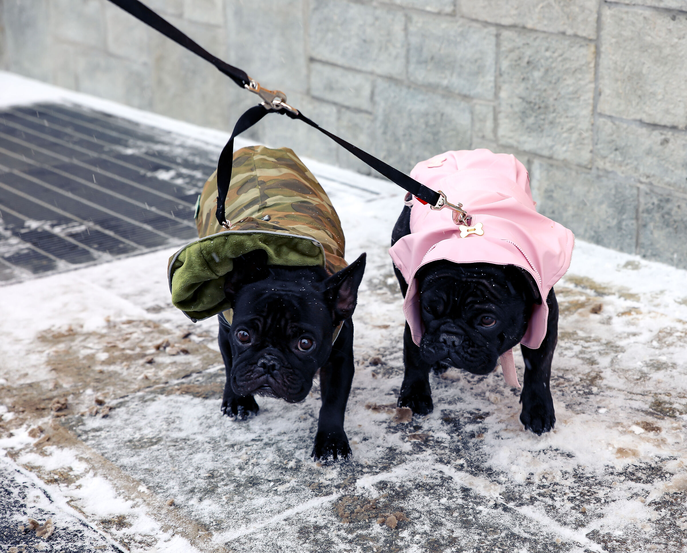 But do you think we wanted to go out now?