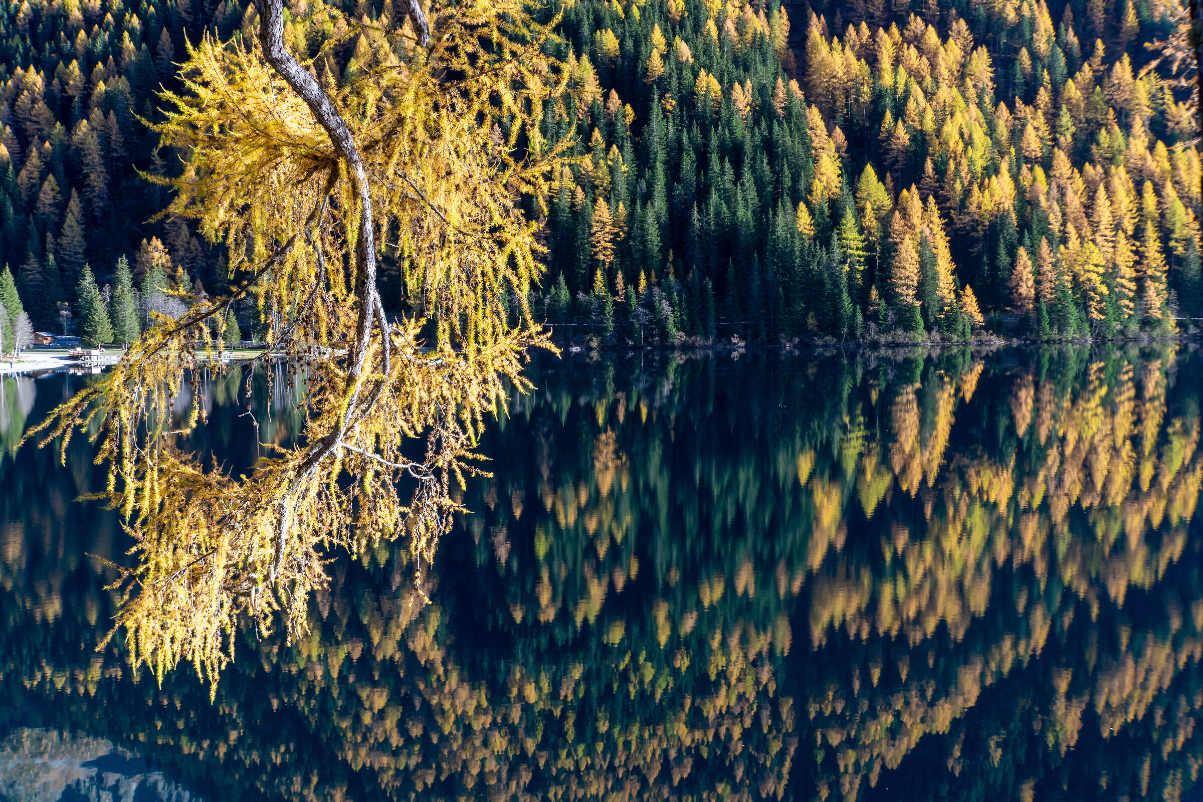 Lago di Anterselva Foliage