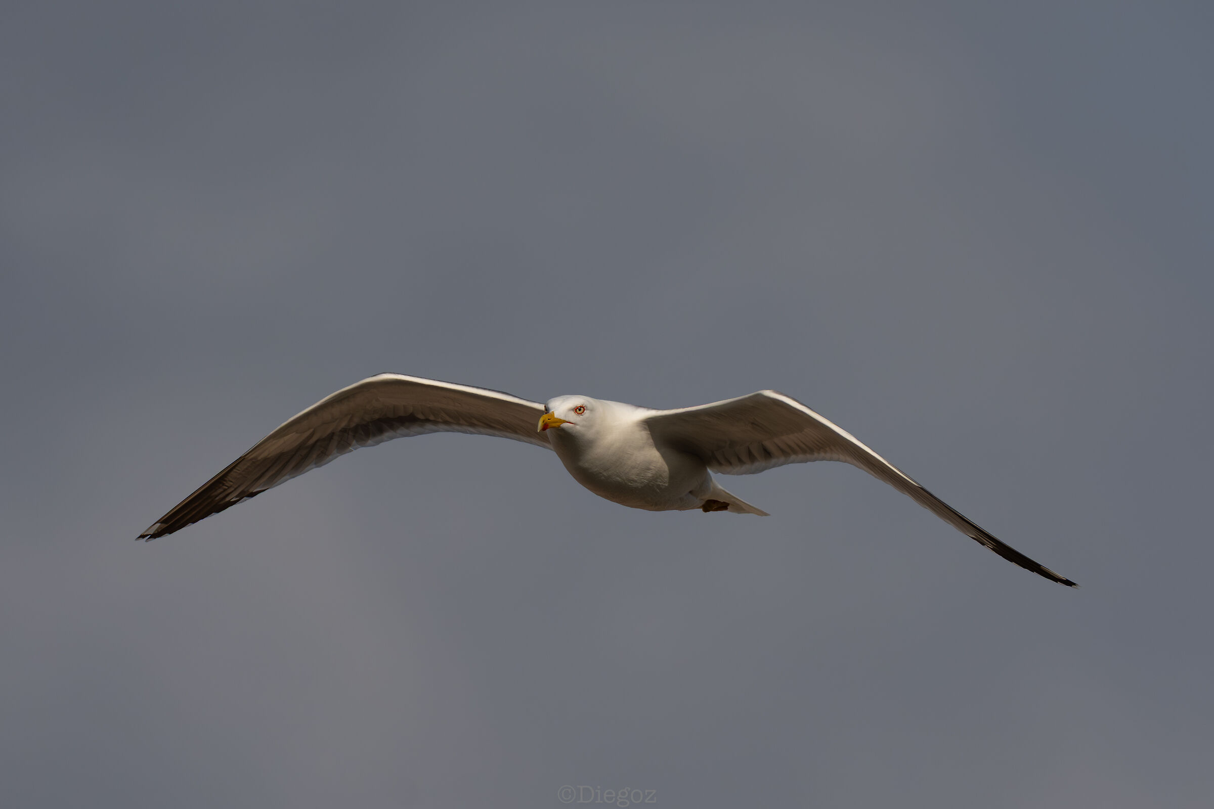 Untitled Photo