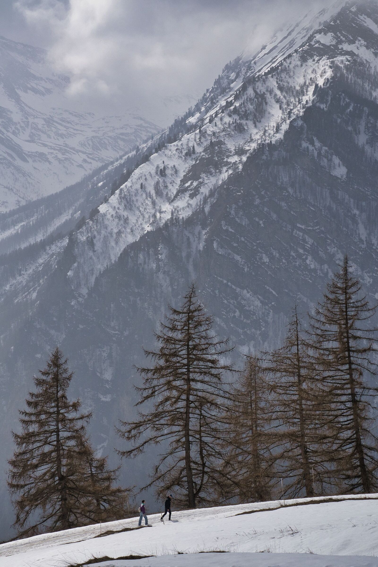 A spasso nella natura
