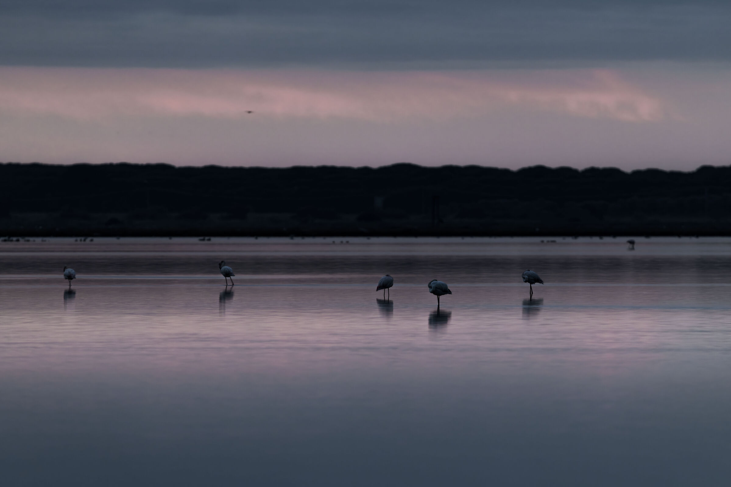 Calm