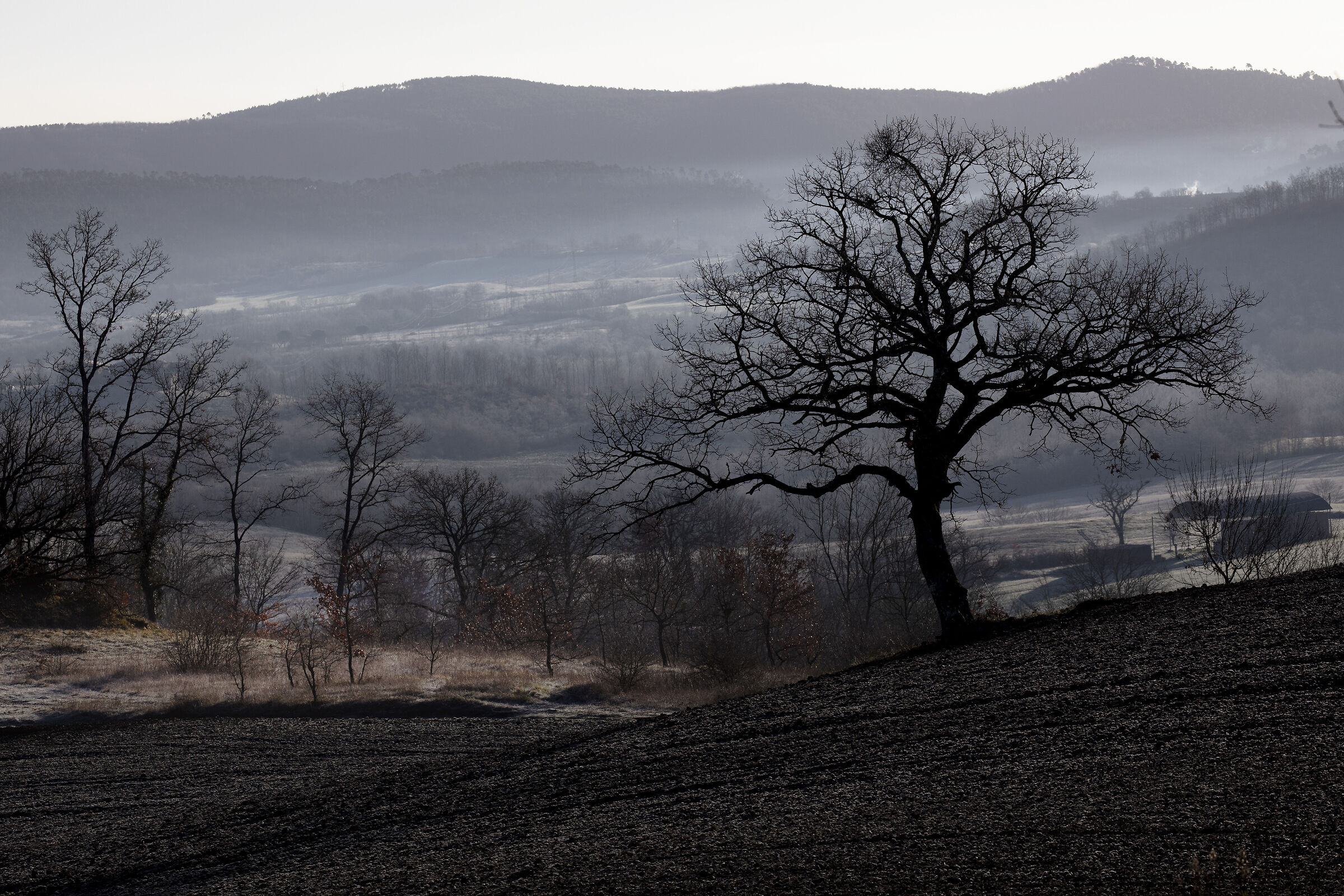 Landscapes