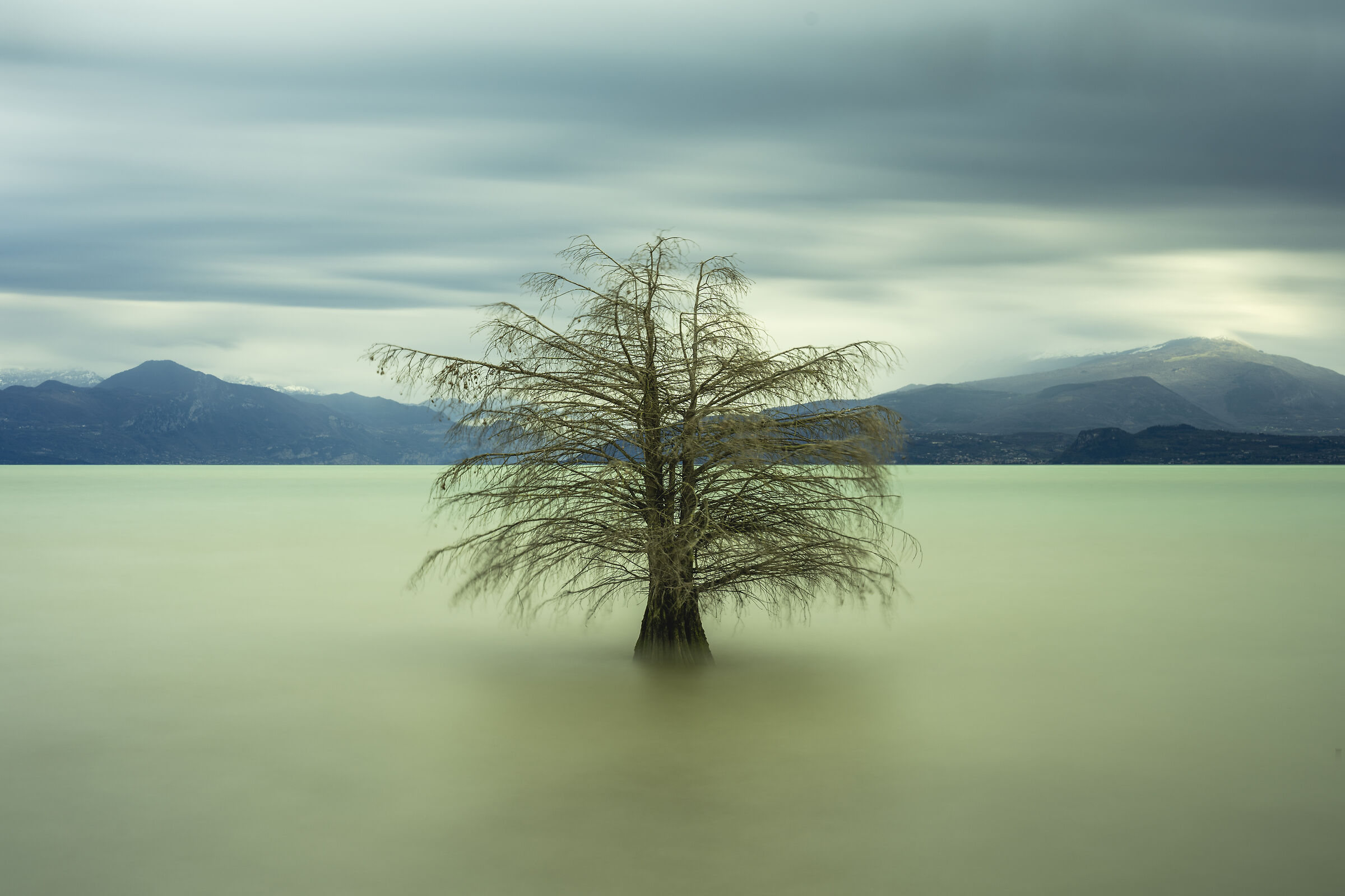 La calma nella tempesta