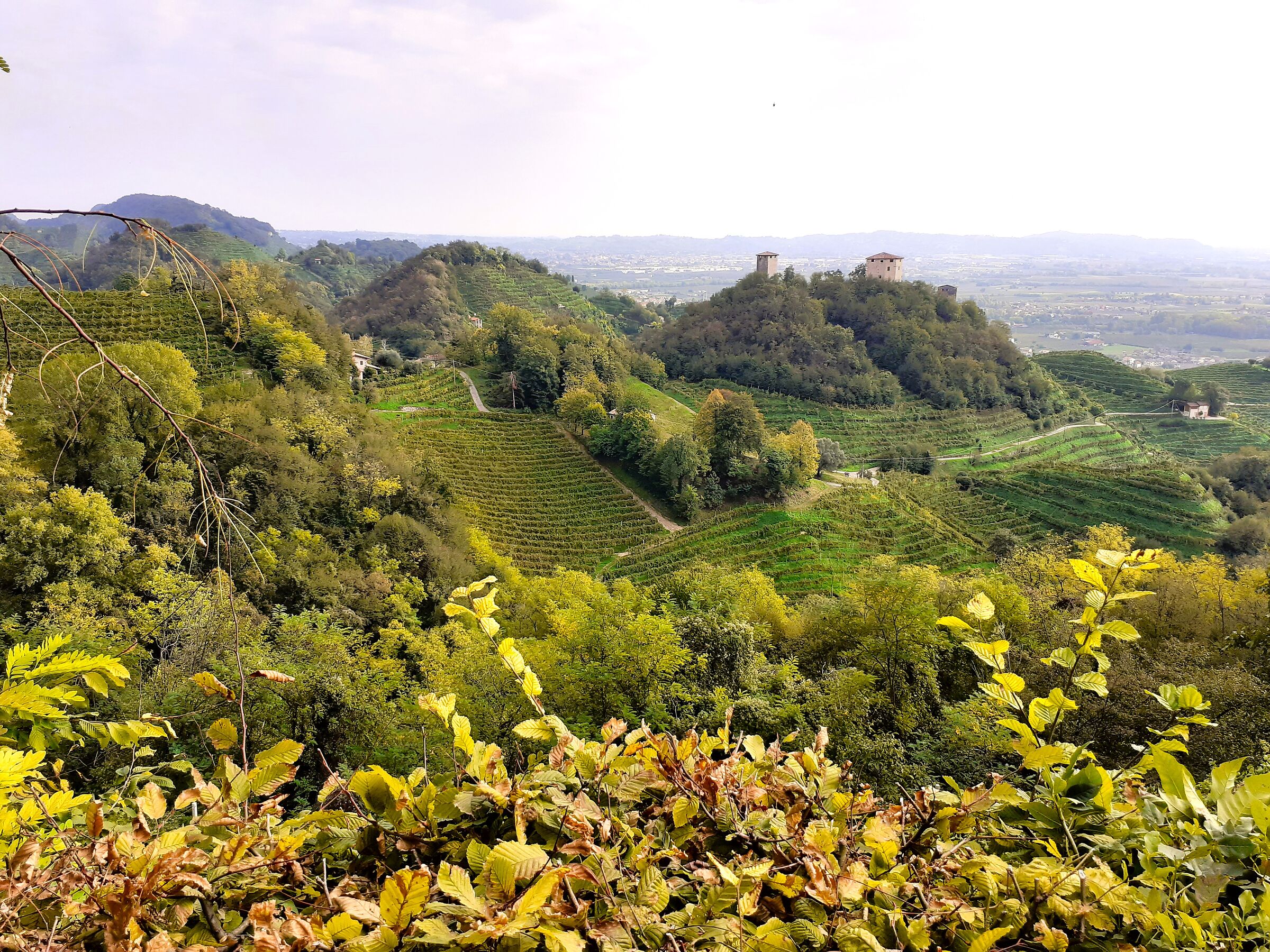 Hills of Farra di Soligo