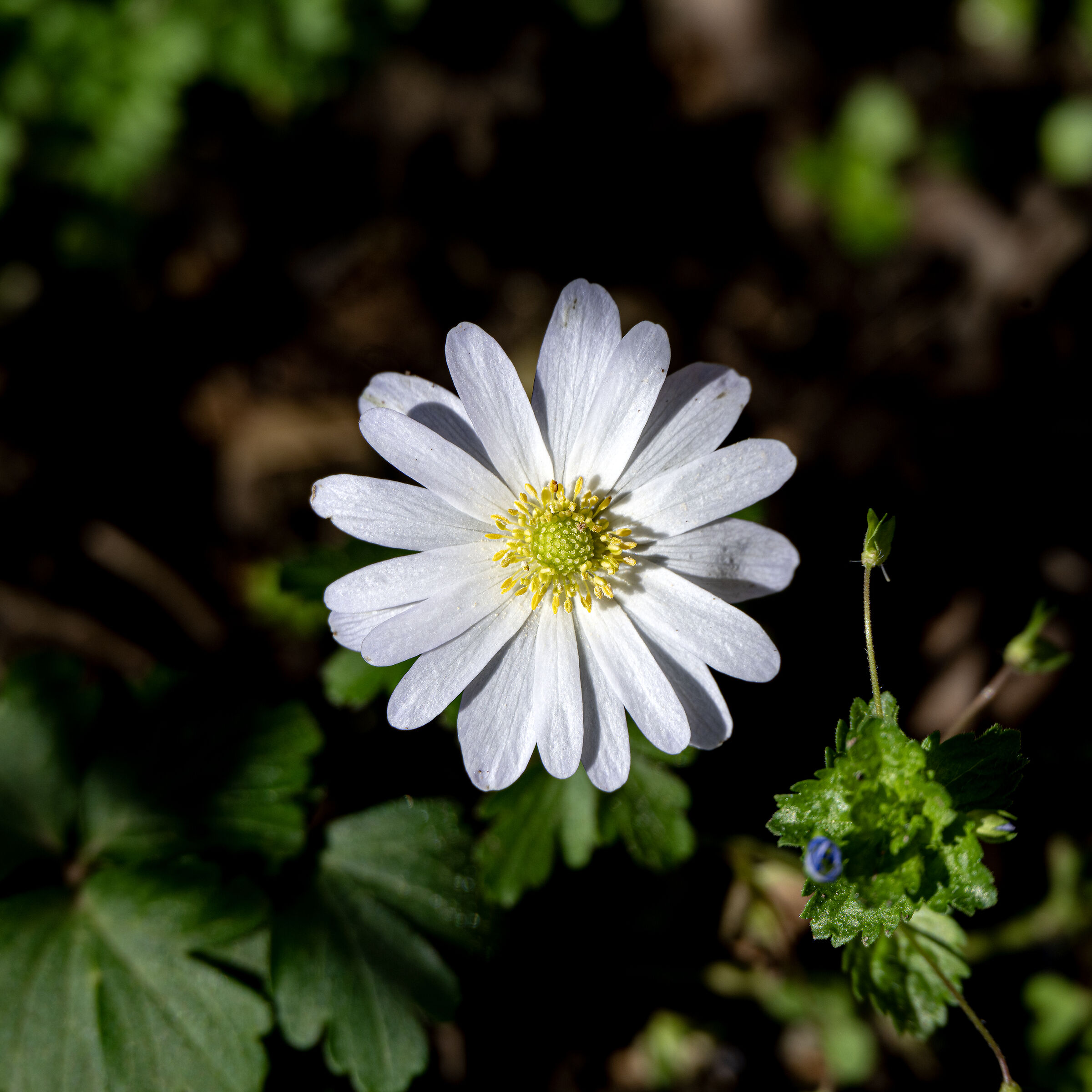 Untitled Photo