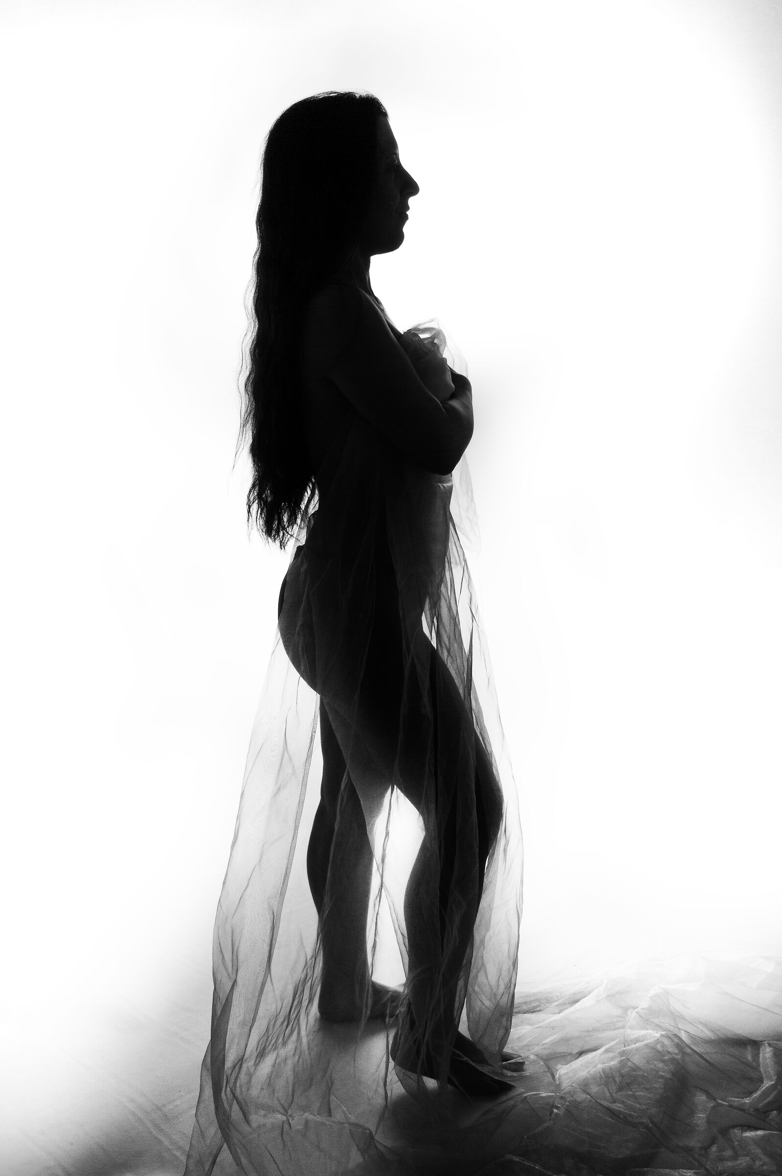 Silhouette