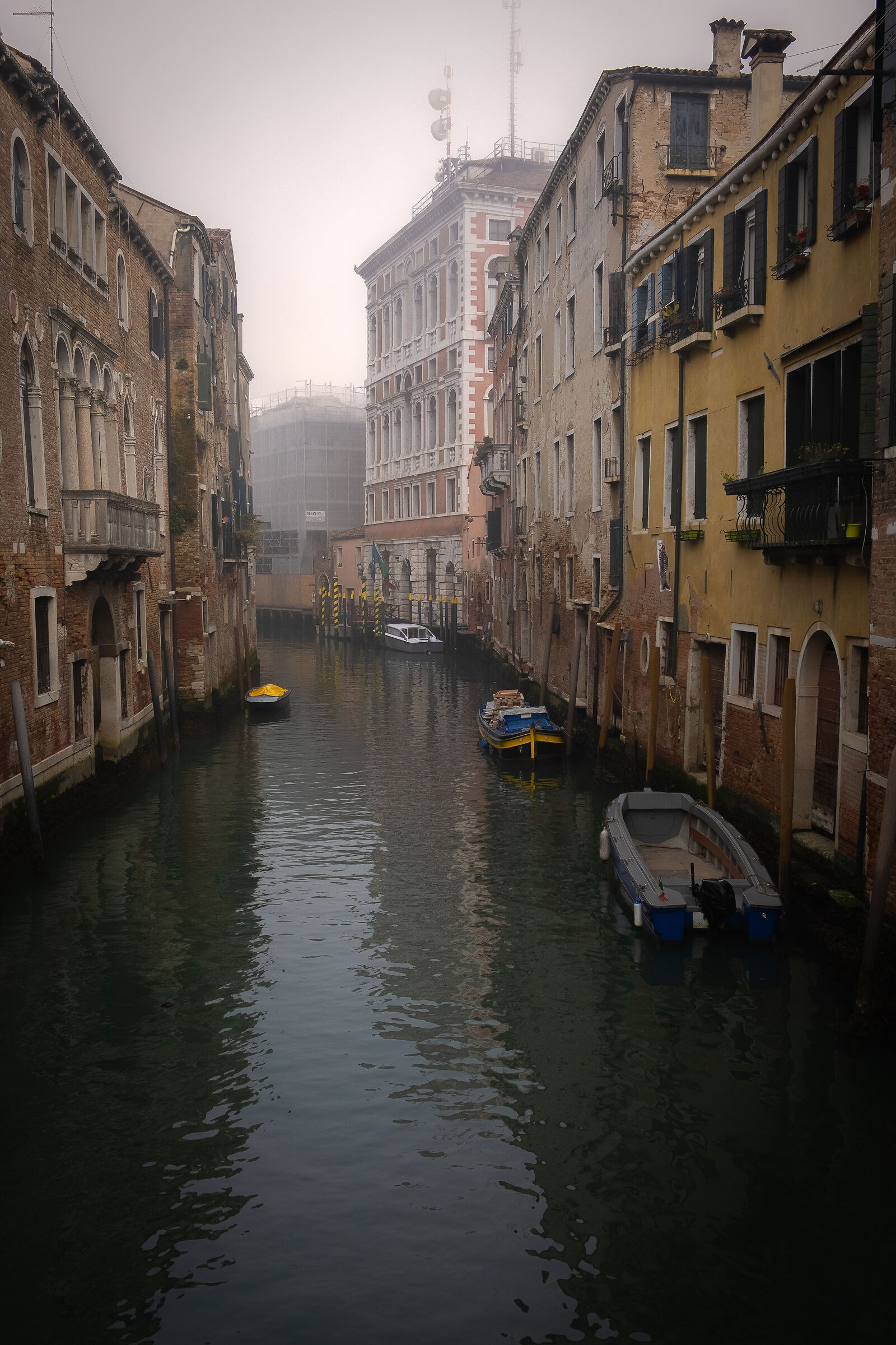 Untitled Photo