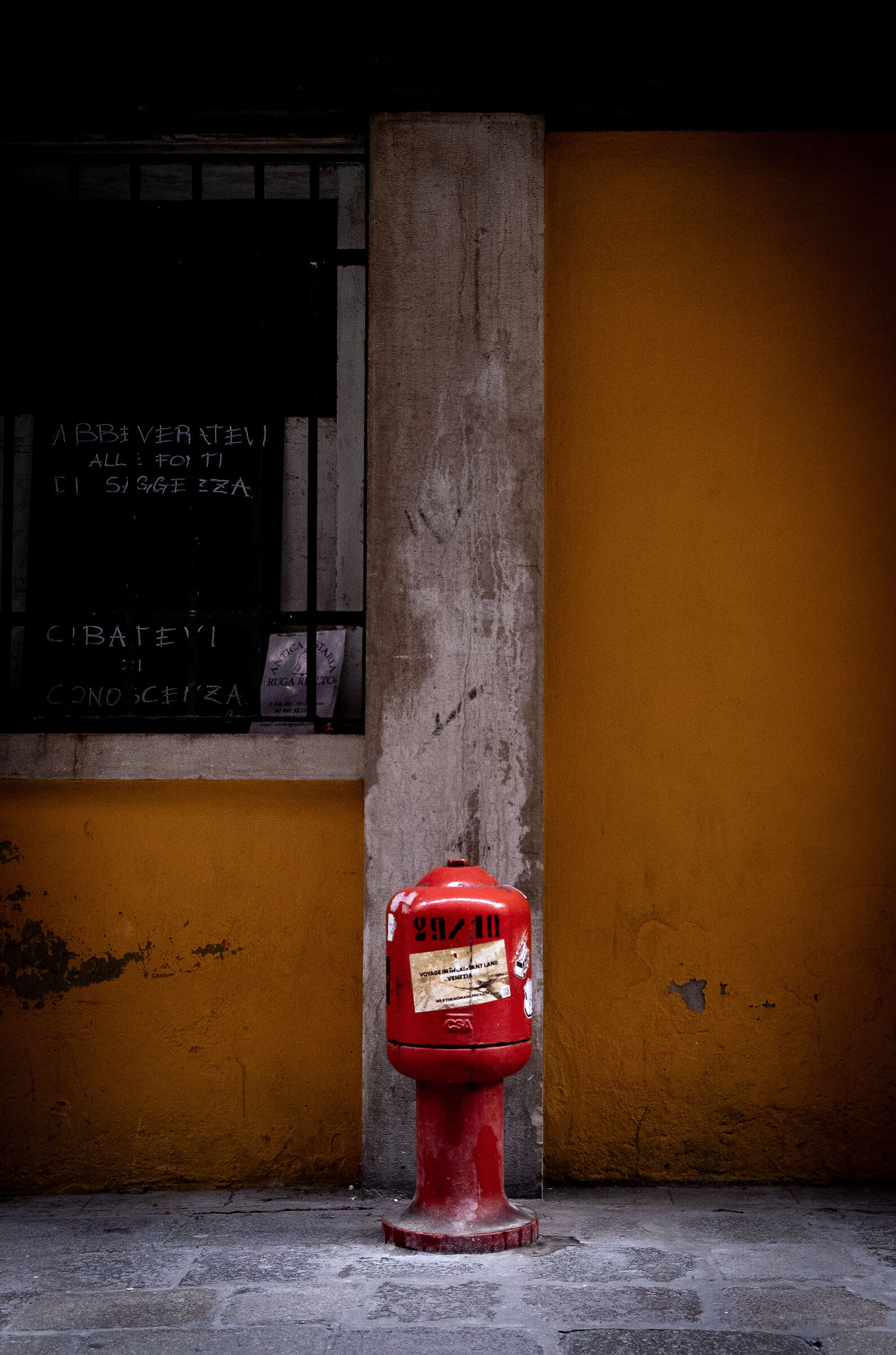 Untitled Photo