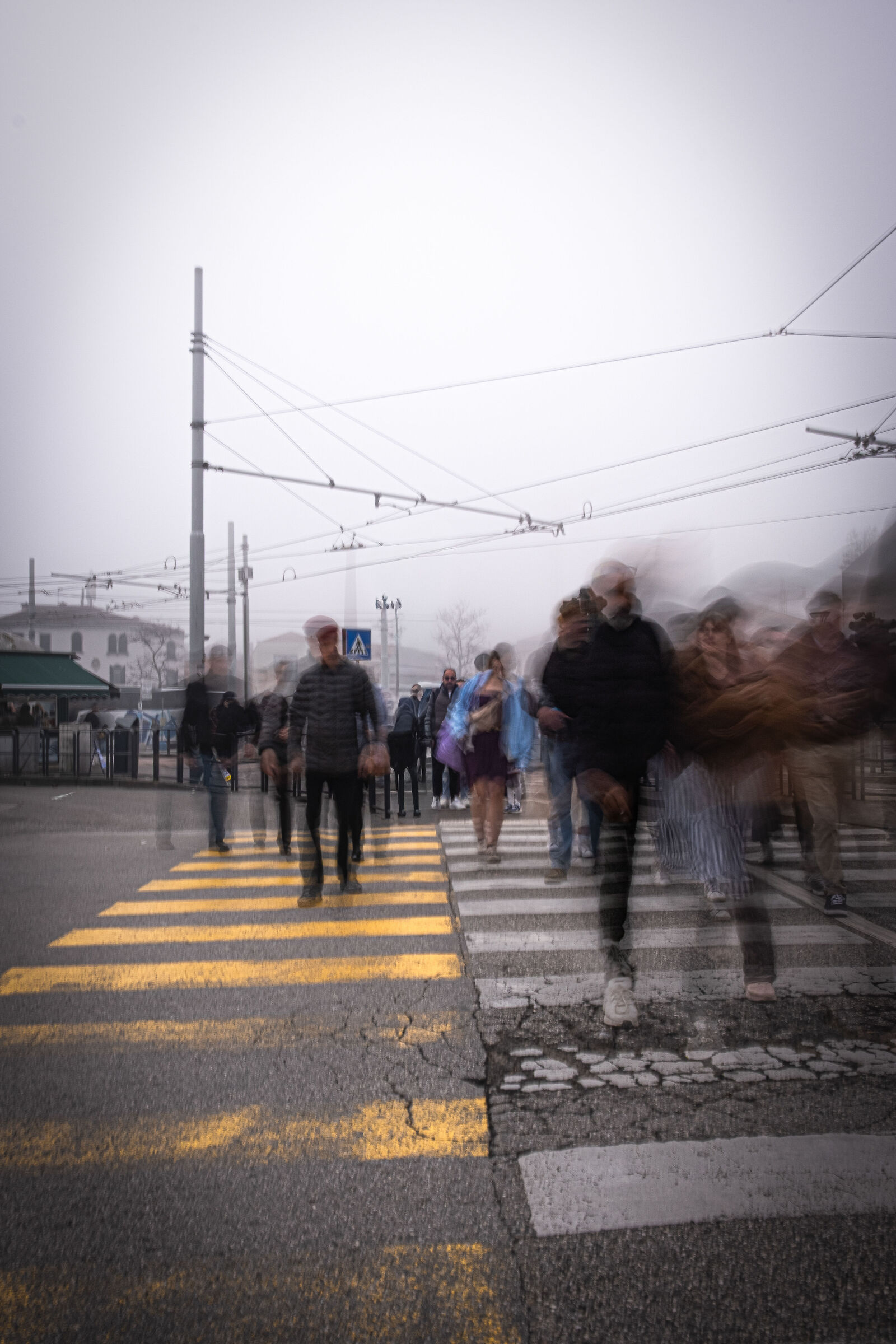 Untitled Photo