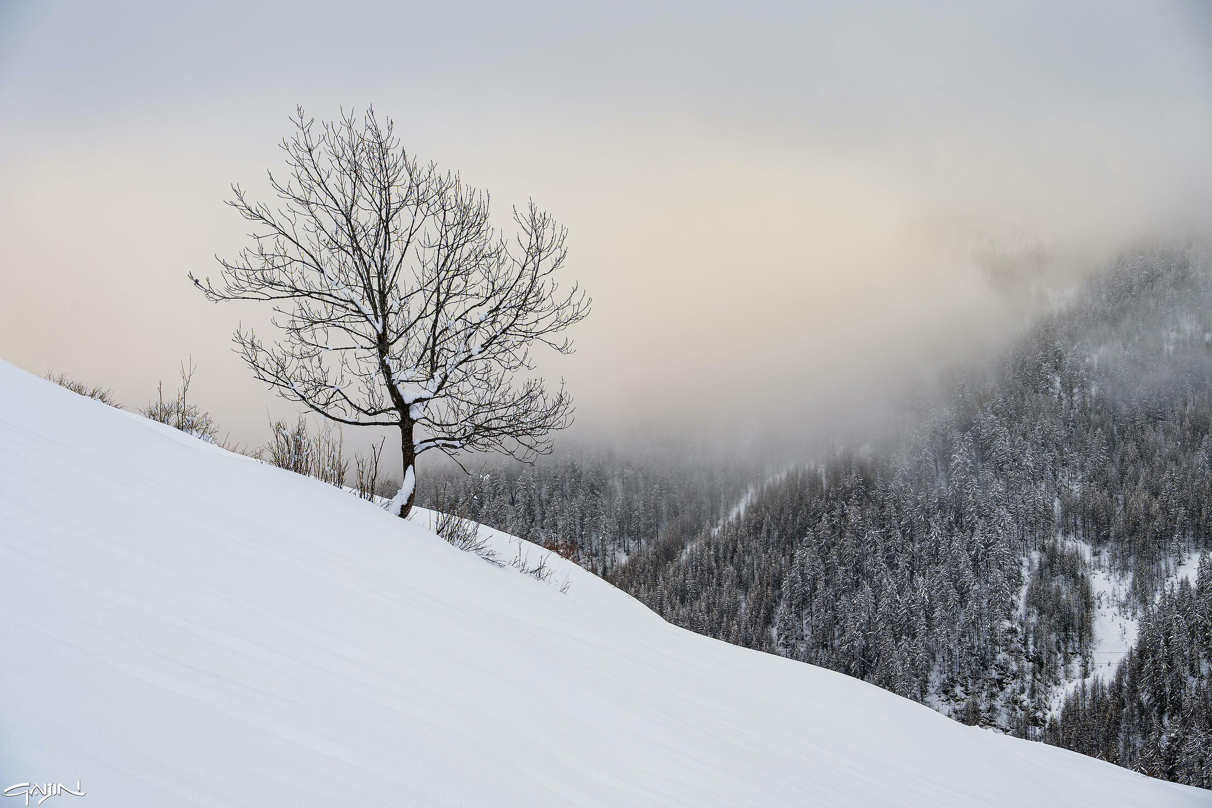 Fuoco e neve