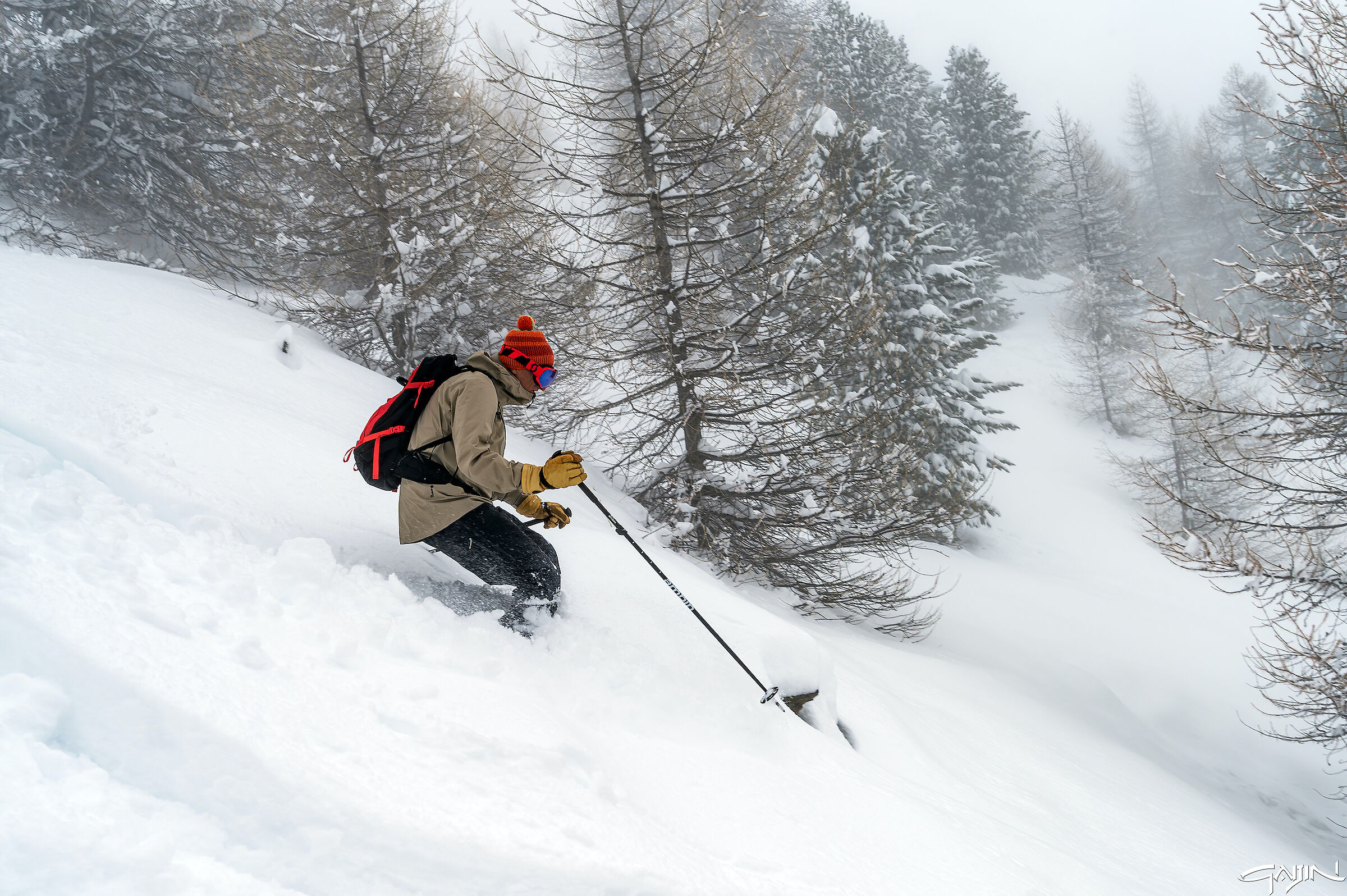 Powder
