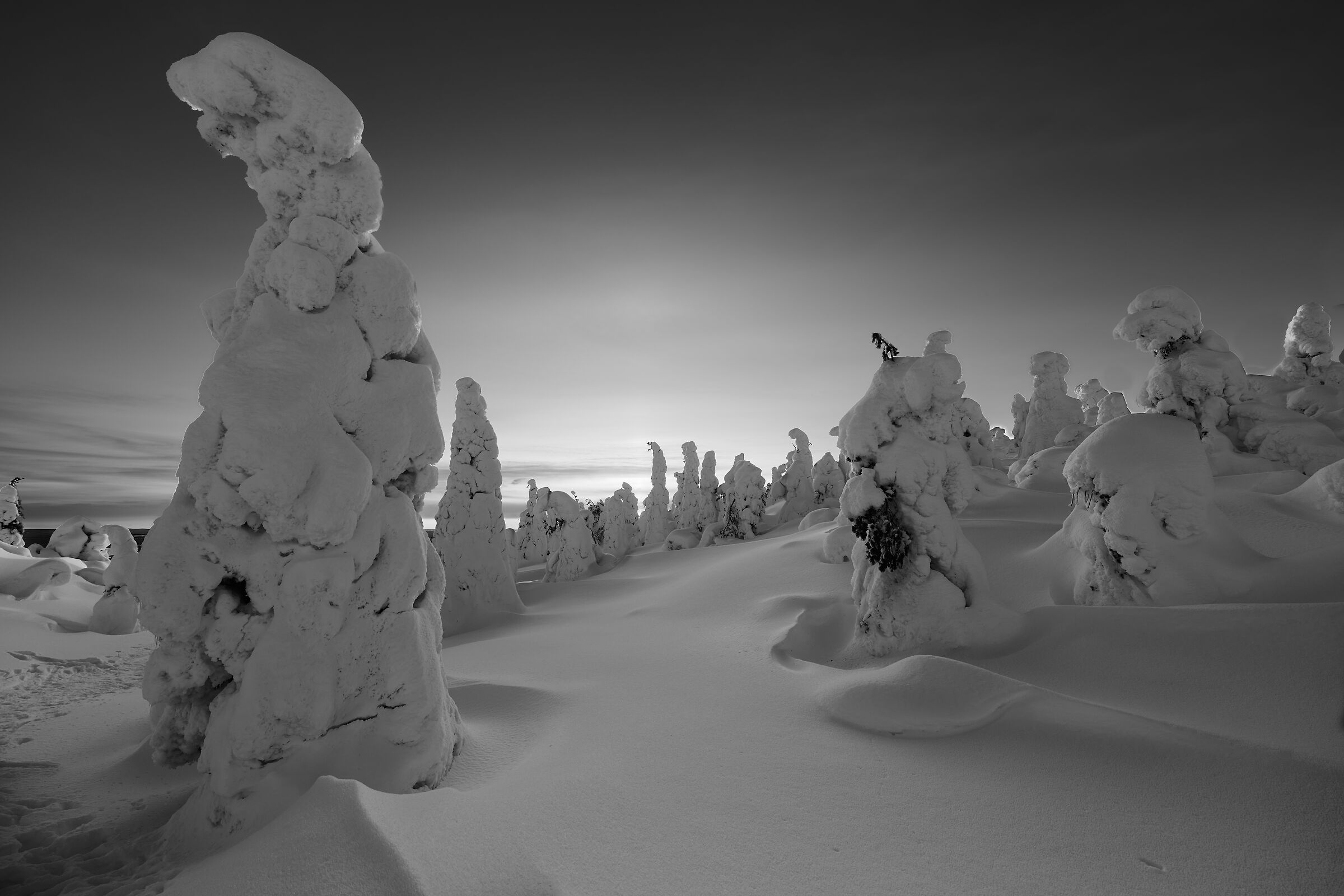 Thikky (Riisitunturi - Finnish Lapland)