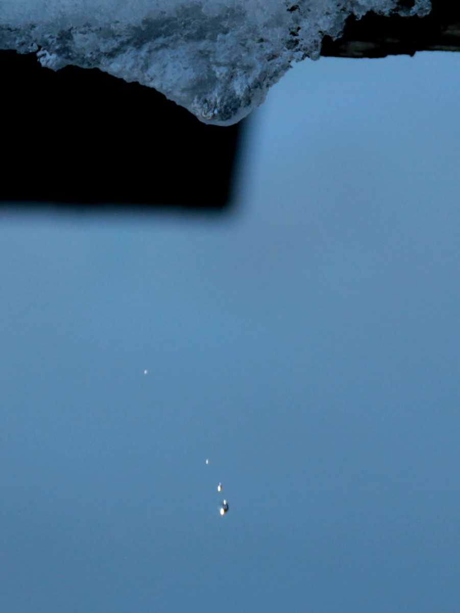Goccia in volo