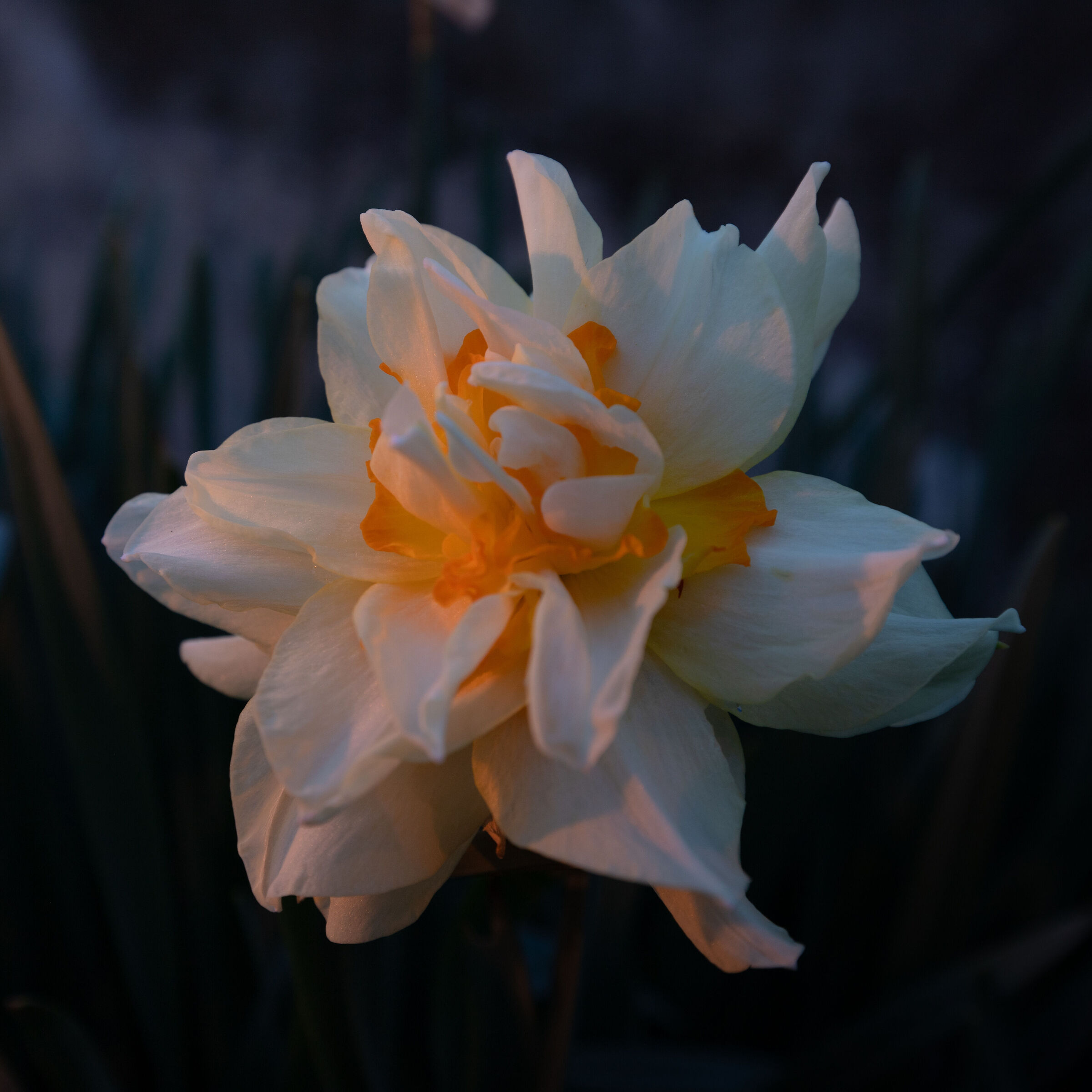 Untitled Photo