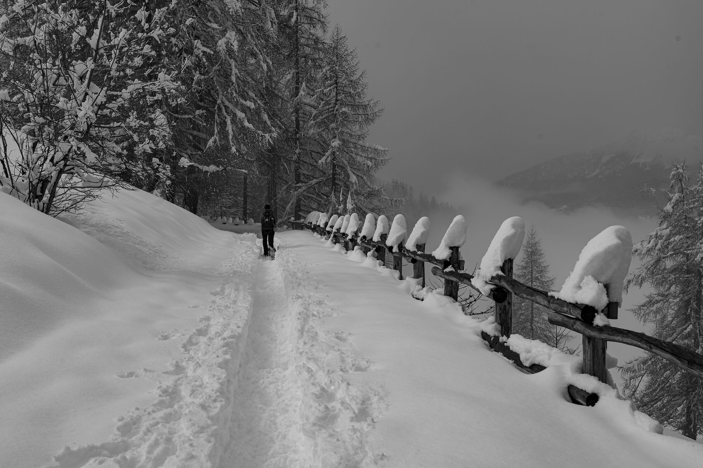 Guard rail