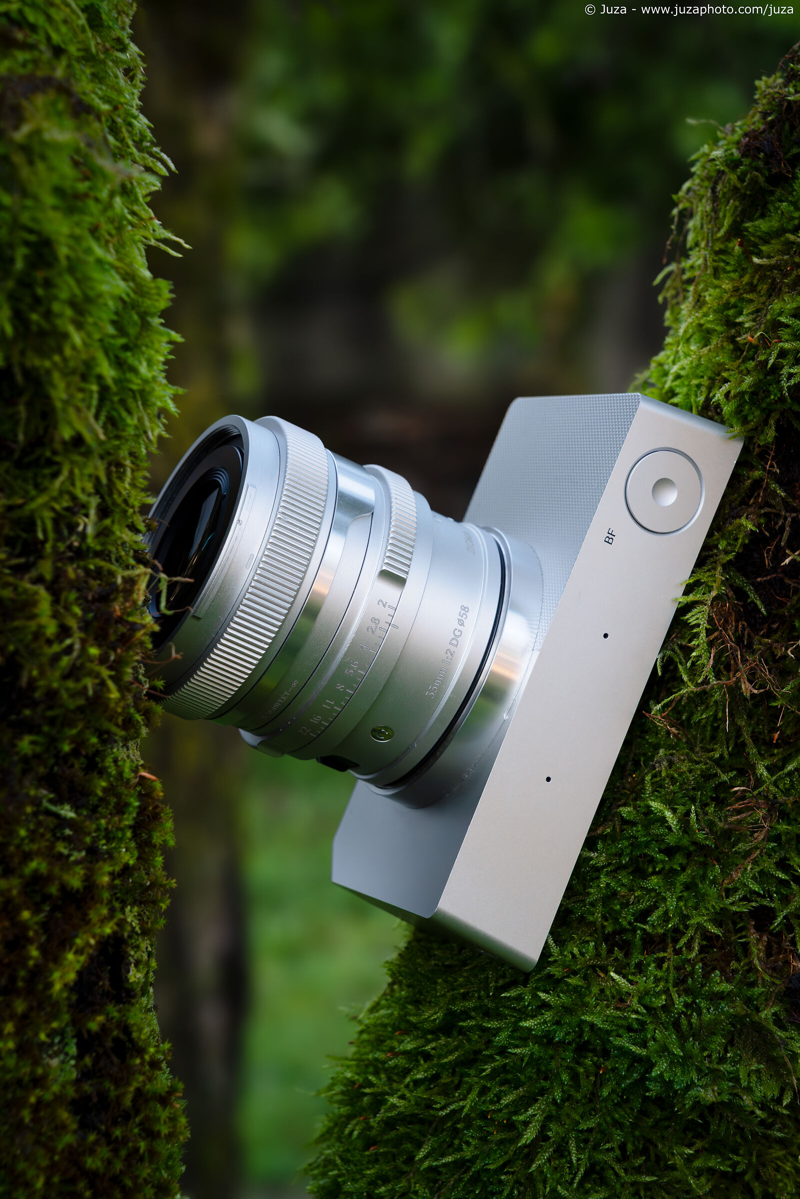 Sigma BF, armonia con la natura