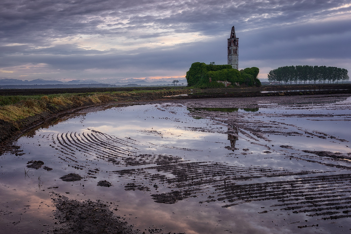 Between rice and ruins