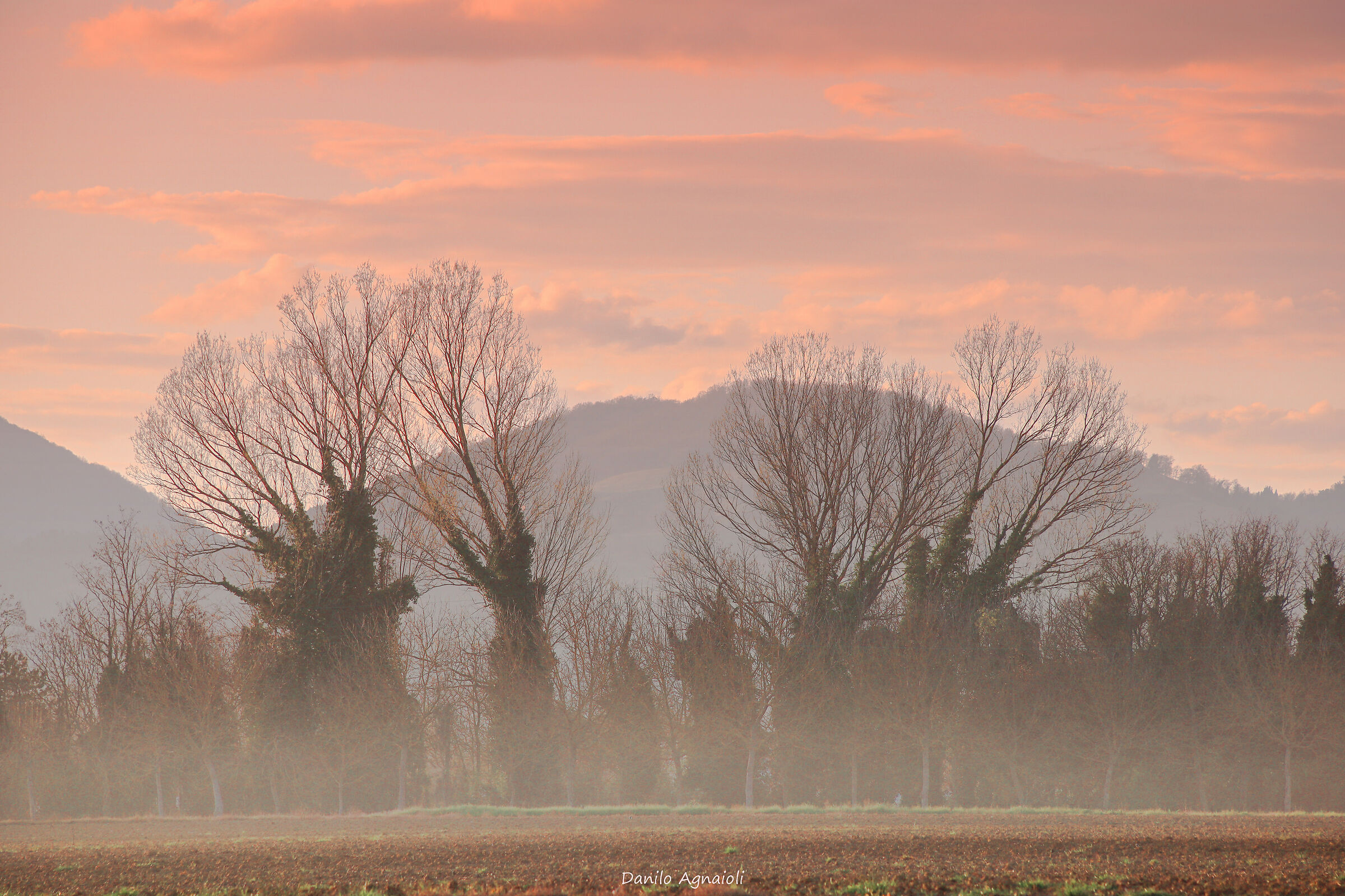 Light and mist