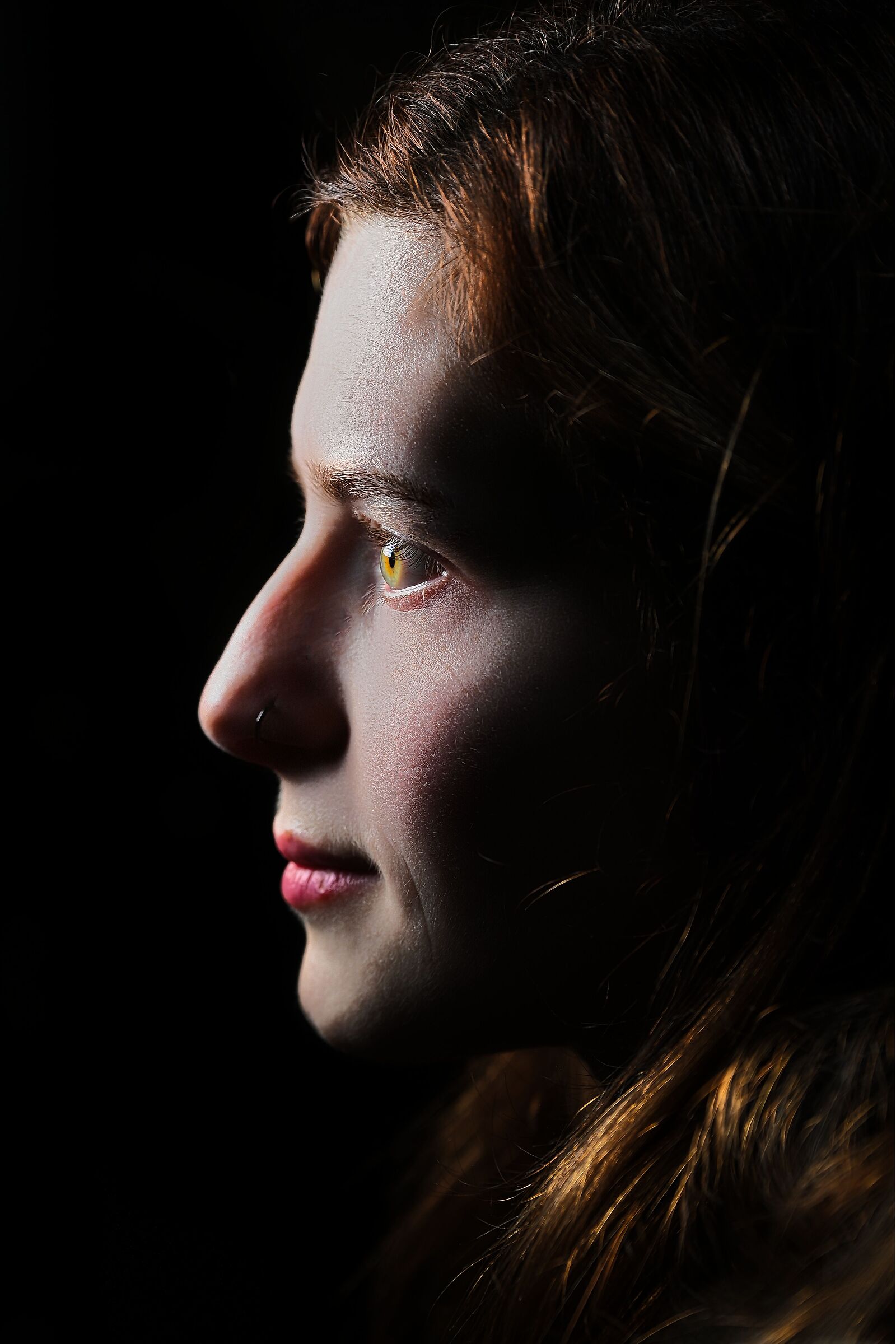 Profilo di luce e rame