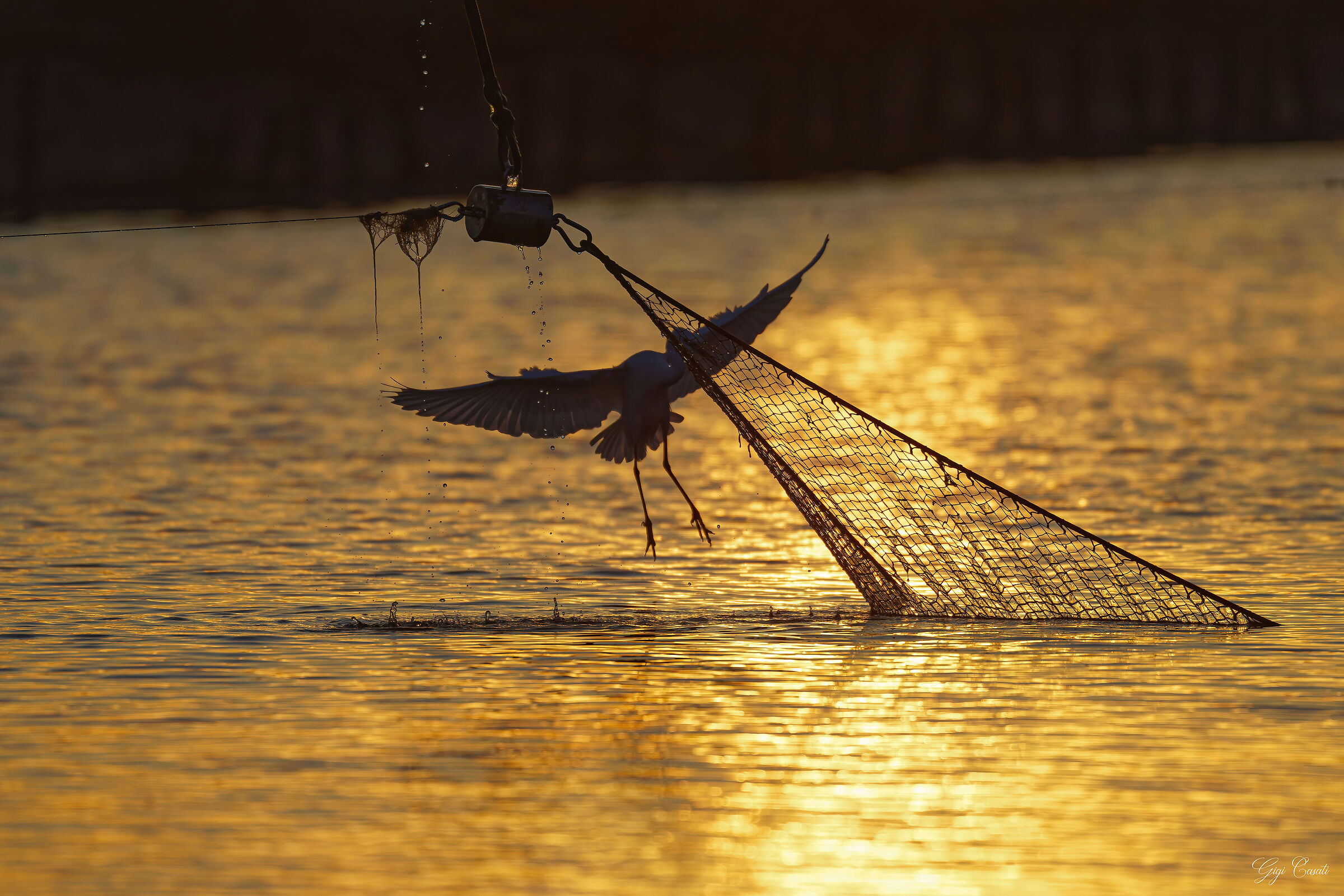 Sunset Hunting