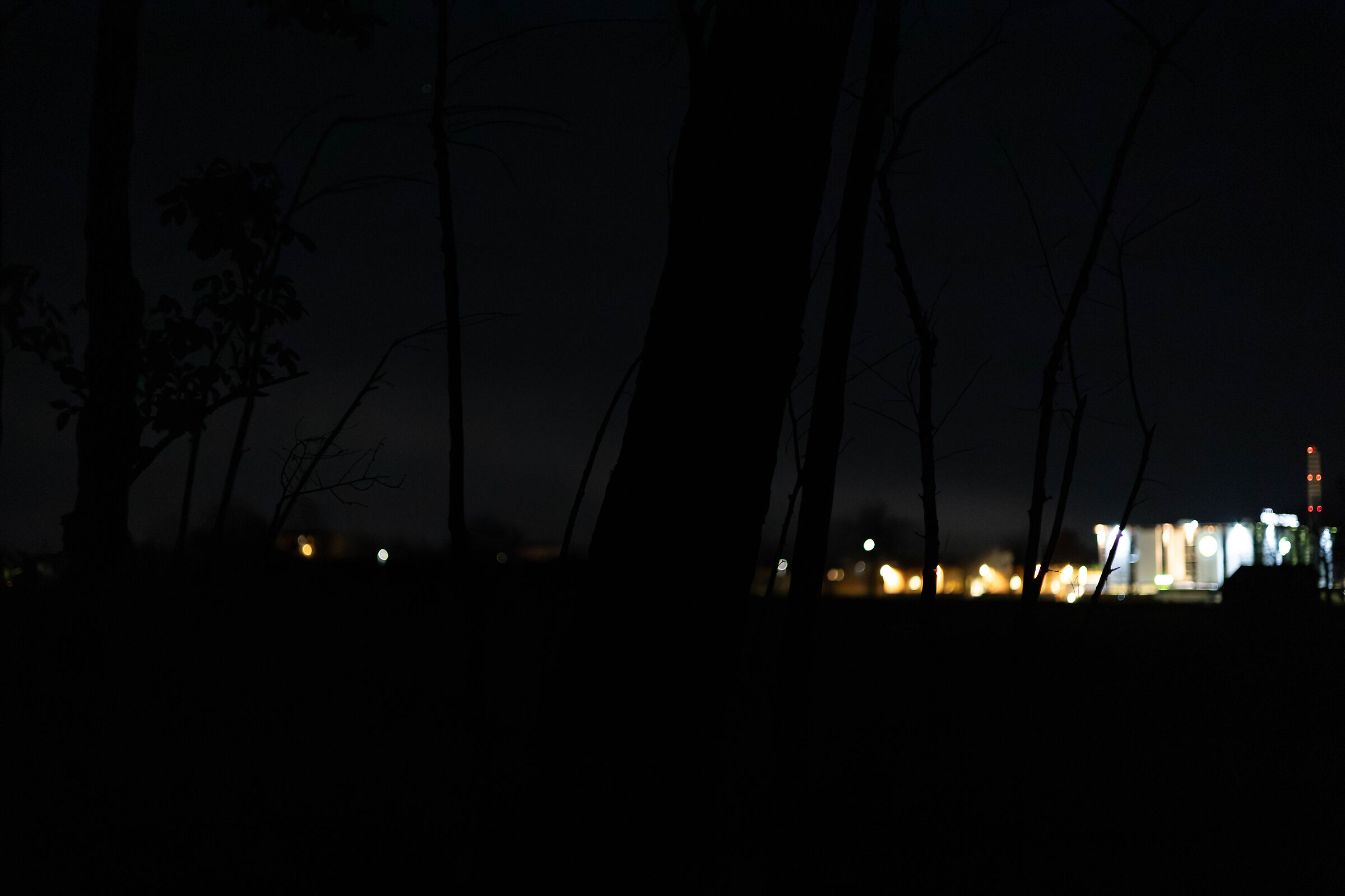 Night Silhouette