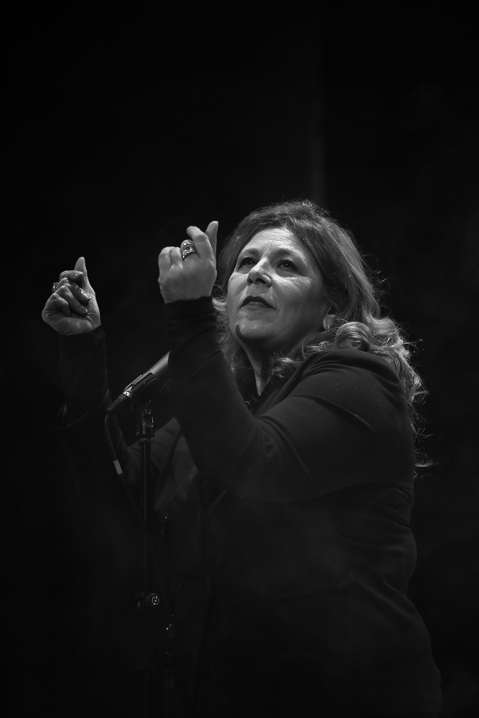 Vesuvian Voices - Francesca Maresca