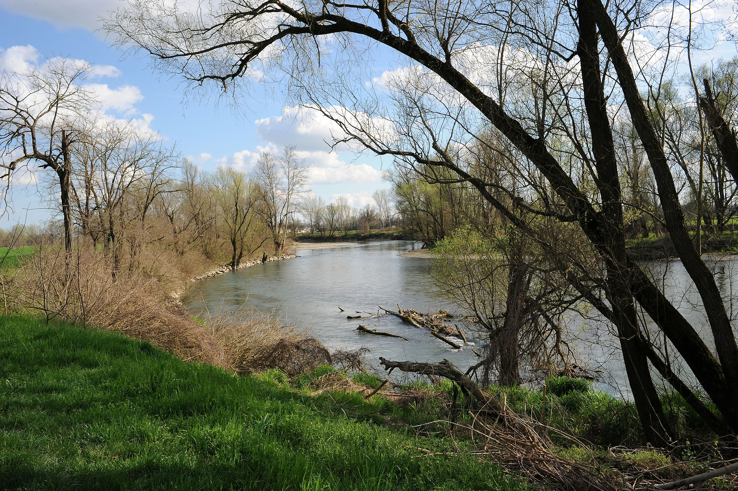 Spring on the river