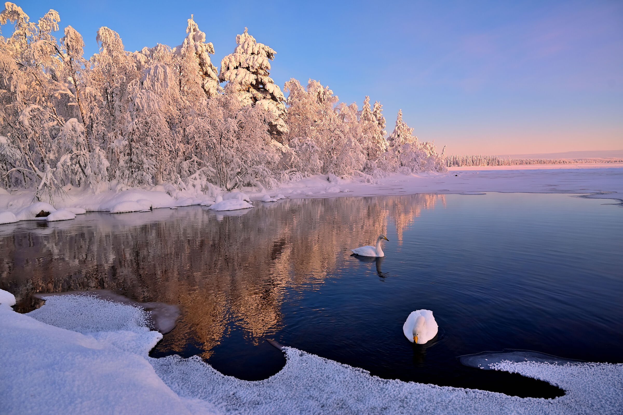 Keimiöniemi