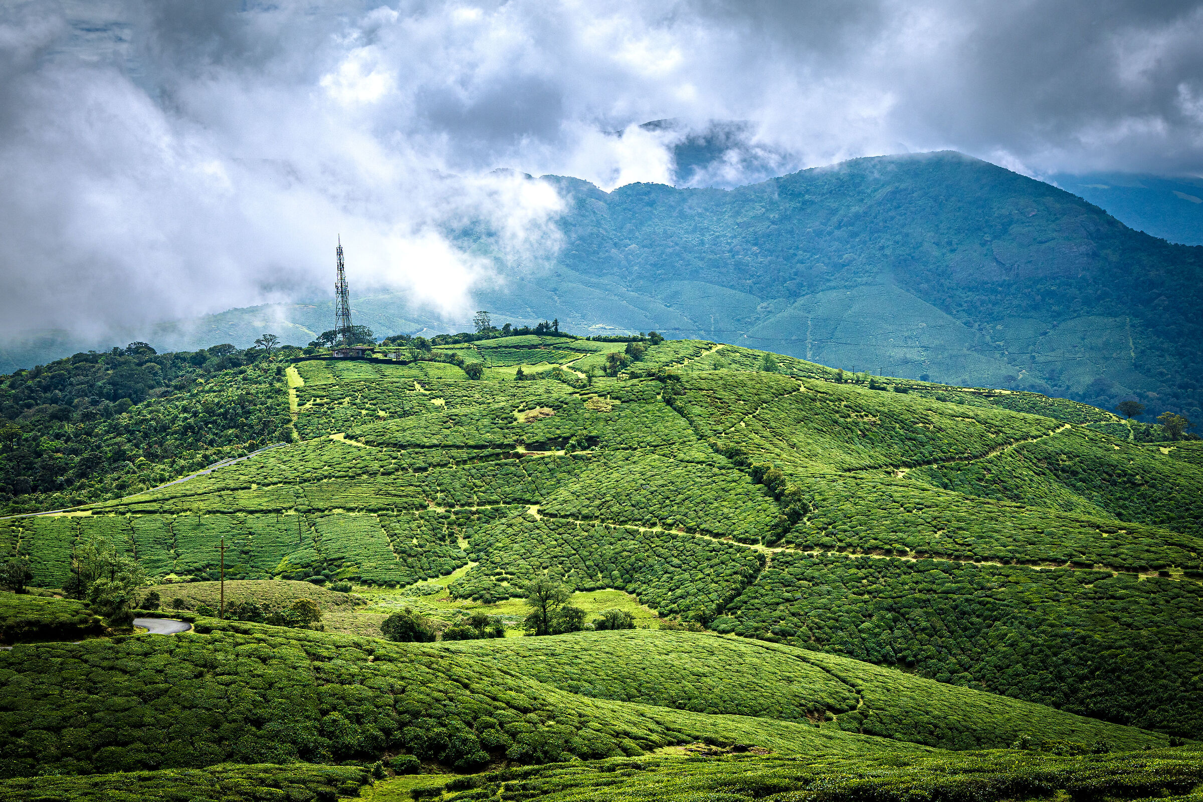 Thalanar Estate, Valparai, Tamil Nadu, India