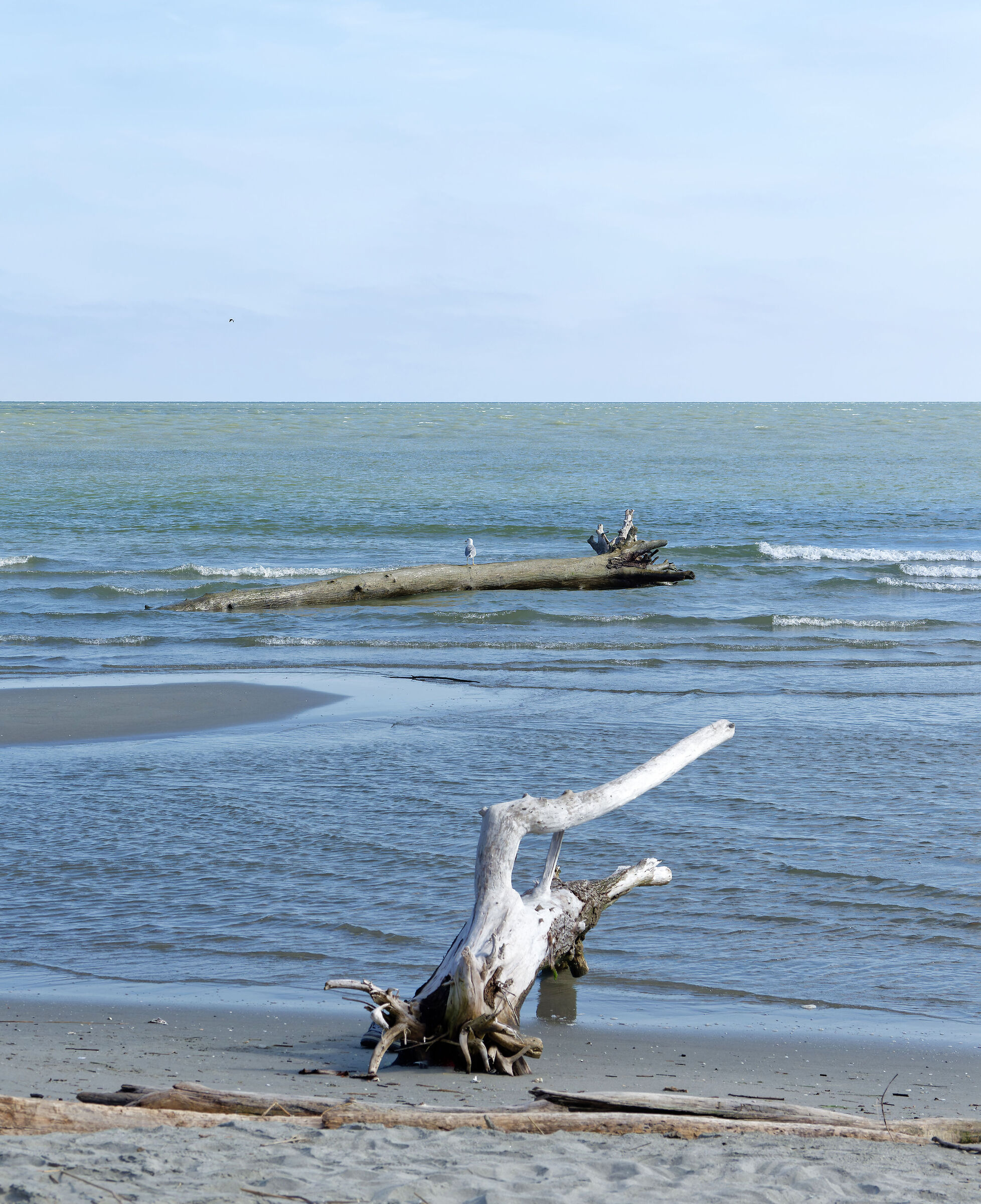 delta del Po - isola dell'Amore