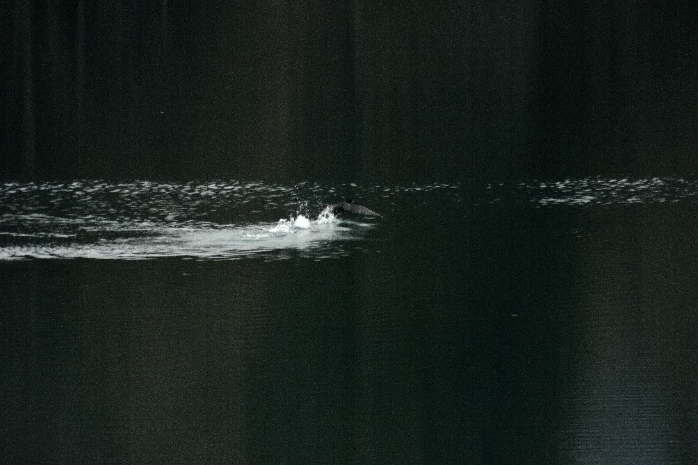 Confusione sull'acqua